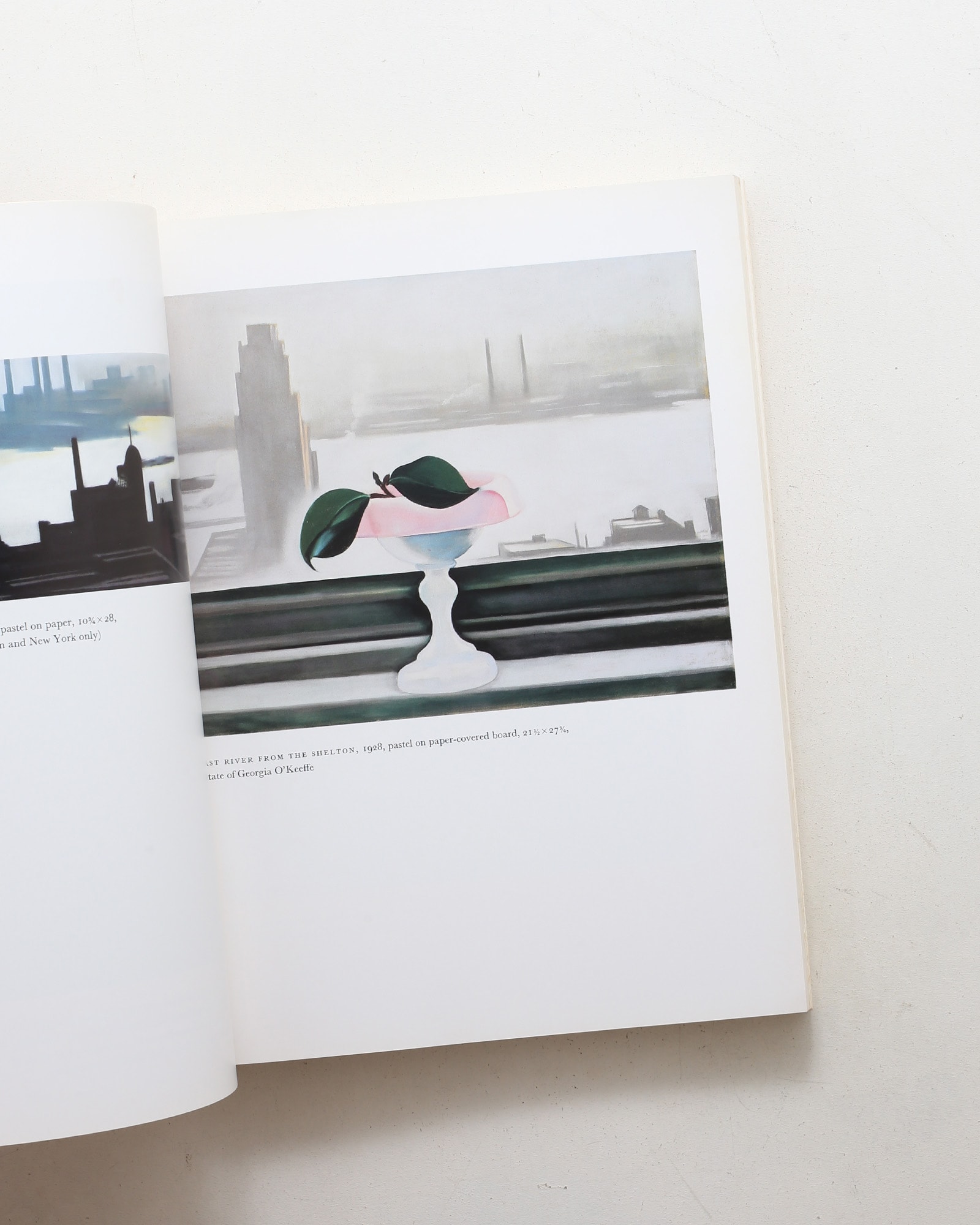 Georgia O'Keeffe: Art and Letters