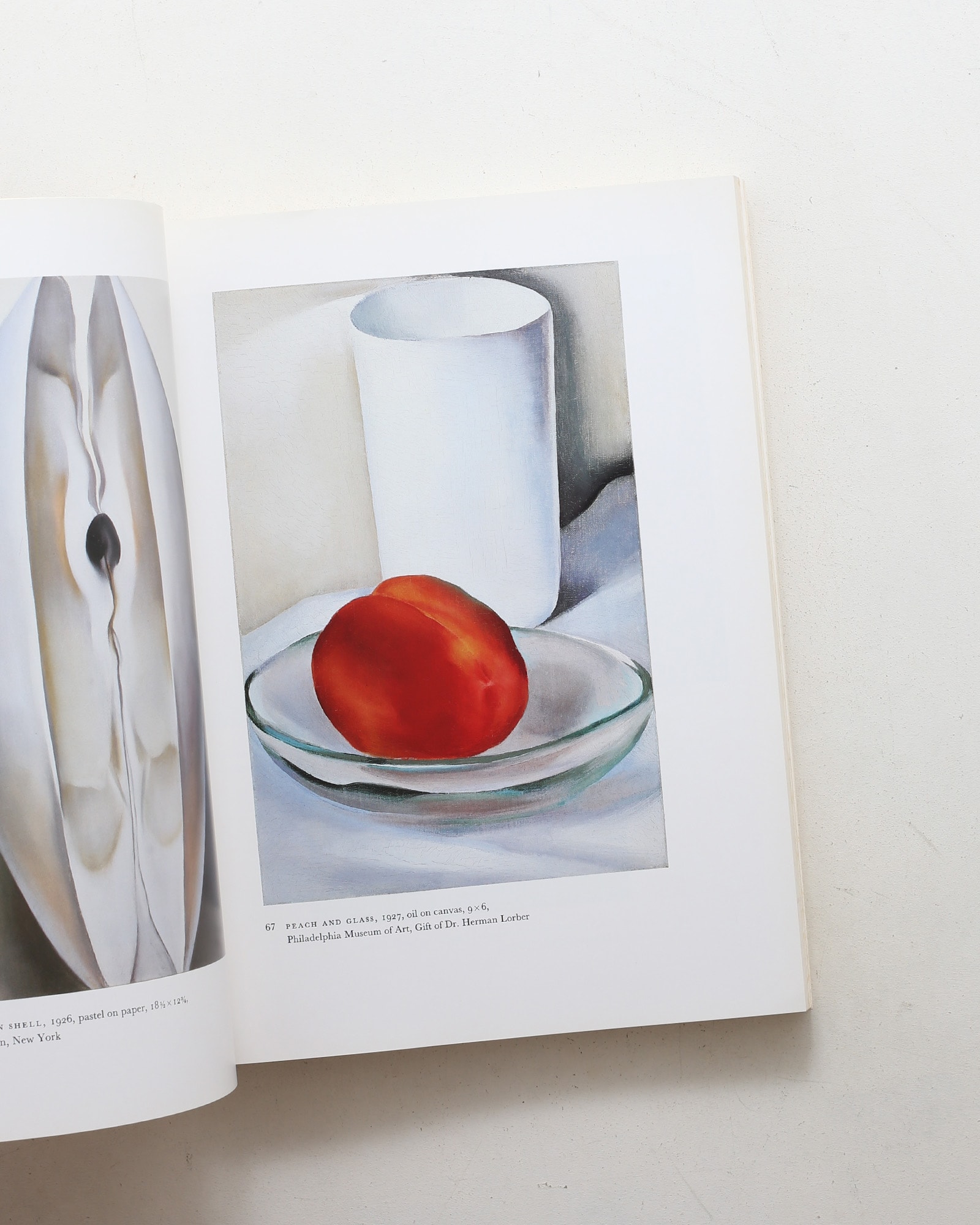 Georgia O'Keeffe: Art and Letters