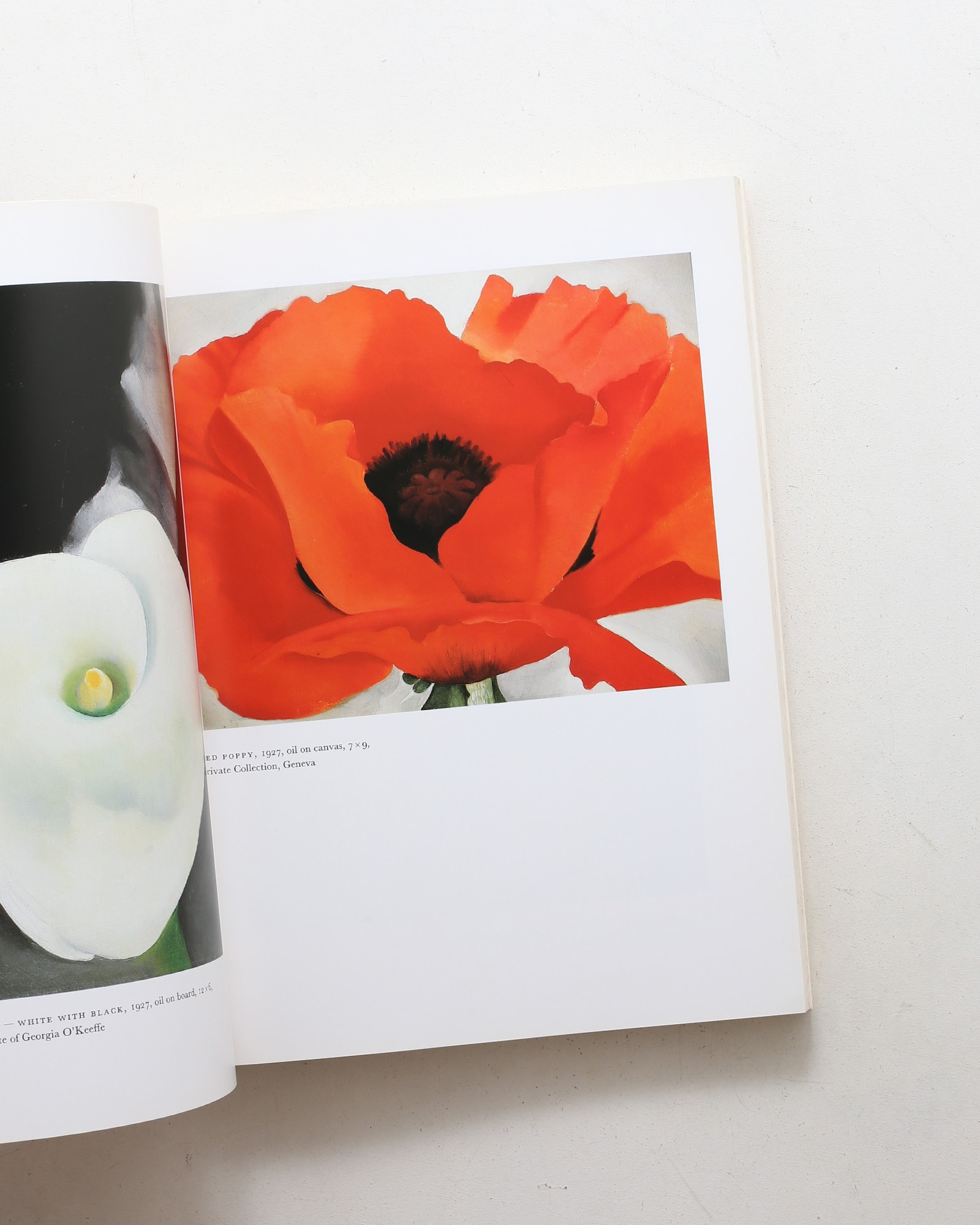 Georgia O'Keeffe: Art and Letters