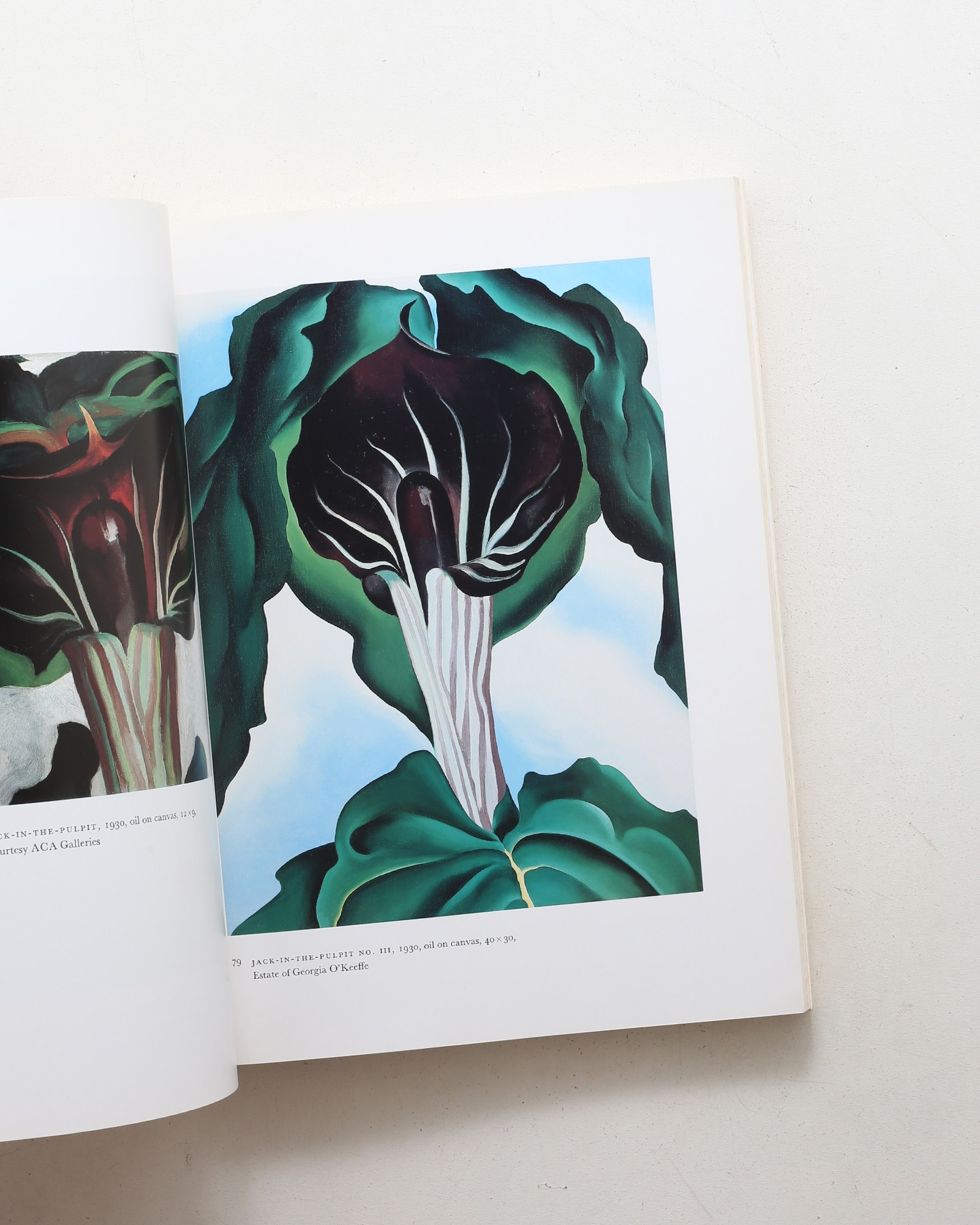 Georgia O'Keeffe: Art and Letters