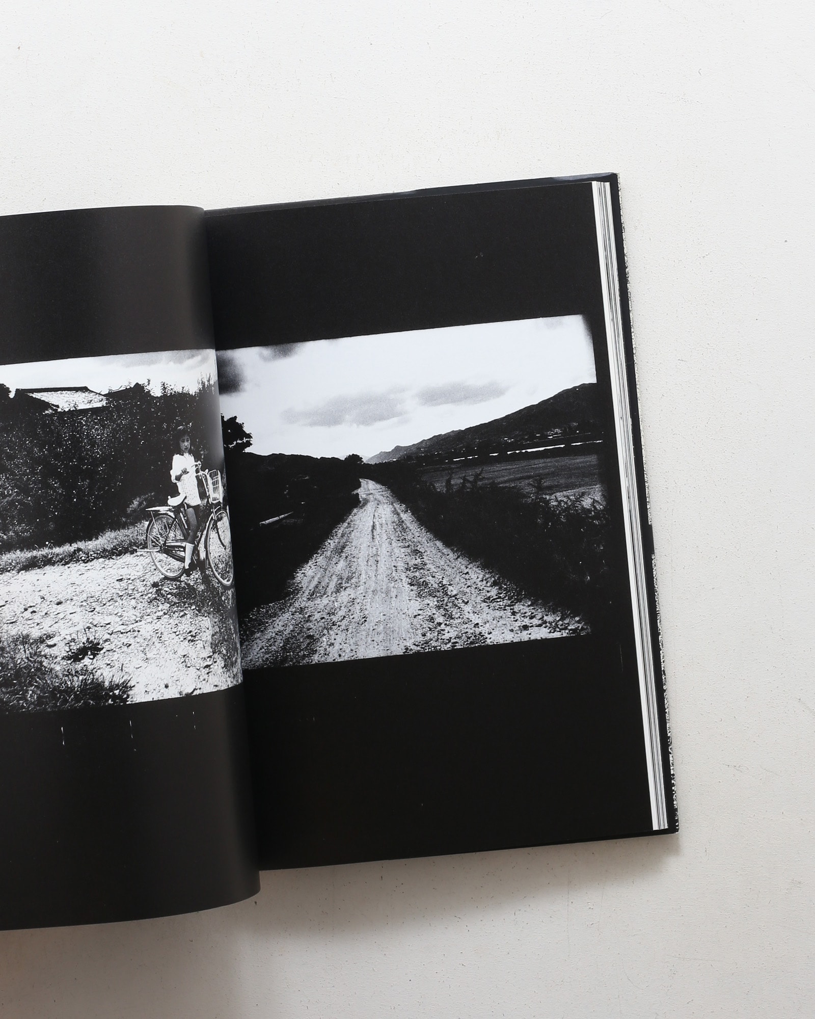 Memories of a Dog | 森山大道