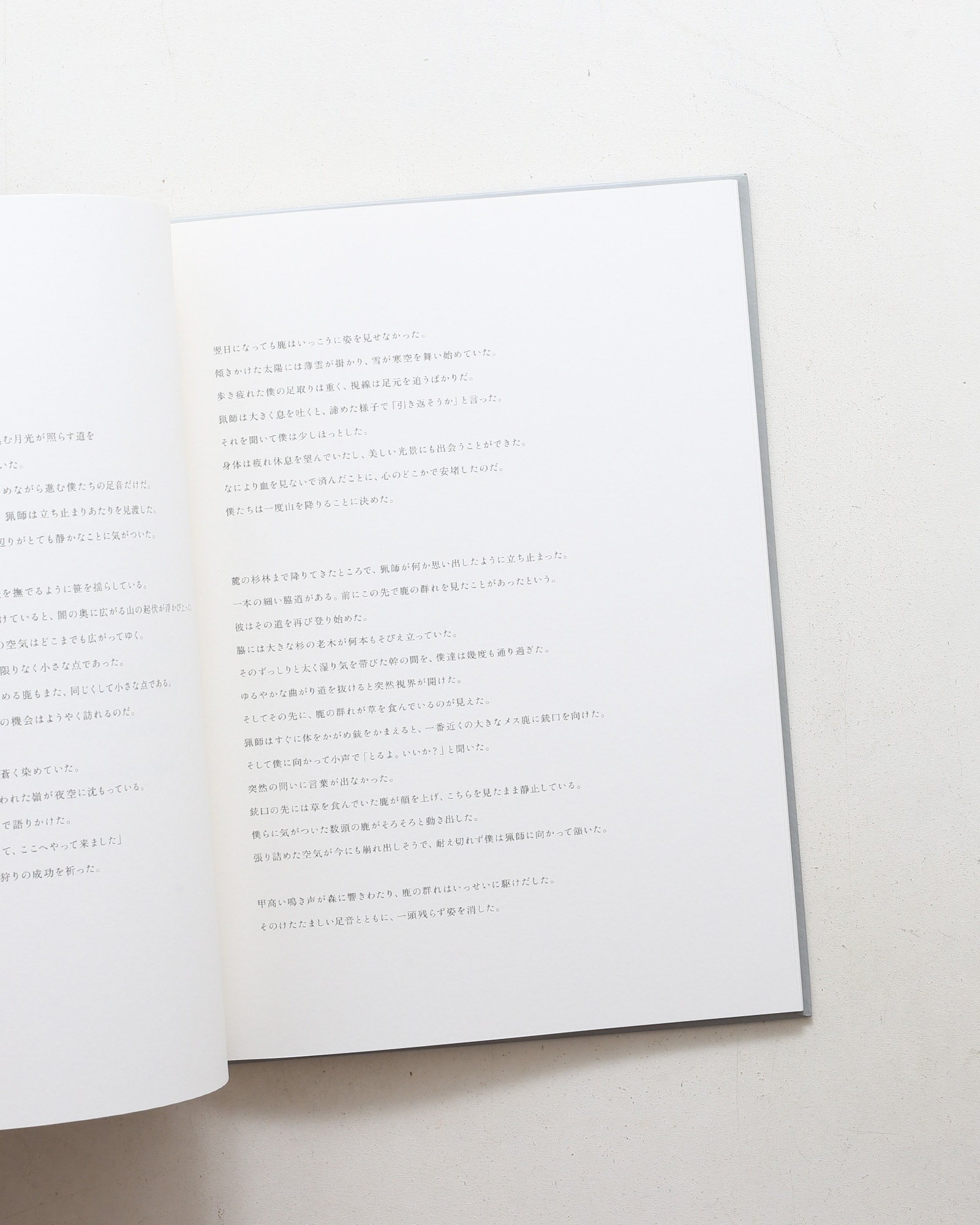 殻のない種 | 橋本雅也