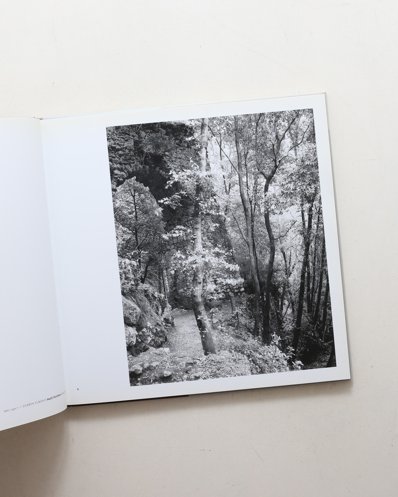 Landscapes | Darren Almond、Carl Blechen