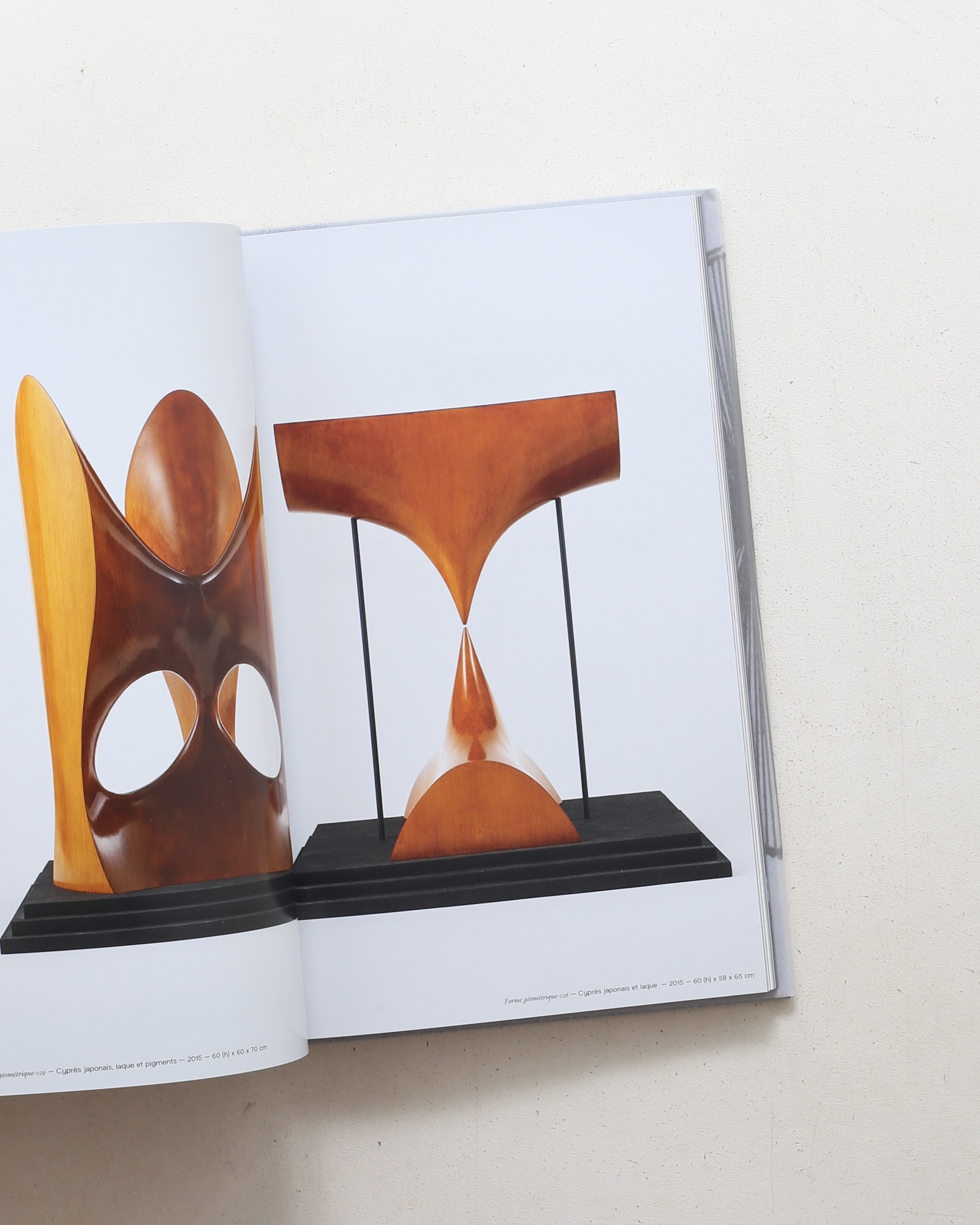 Mathematical Objects | Toshimasa Kikuchi