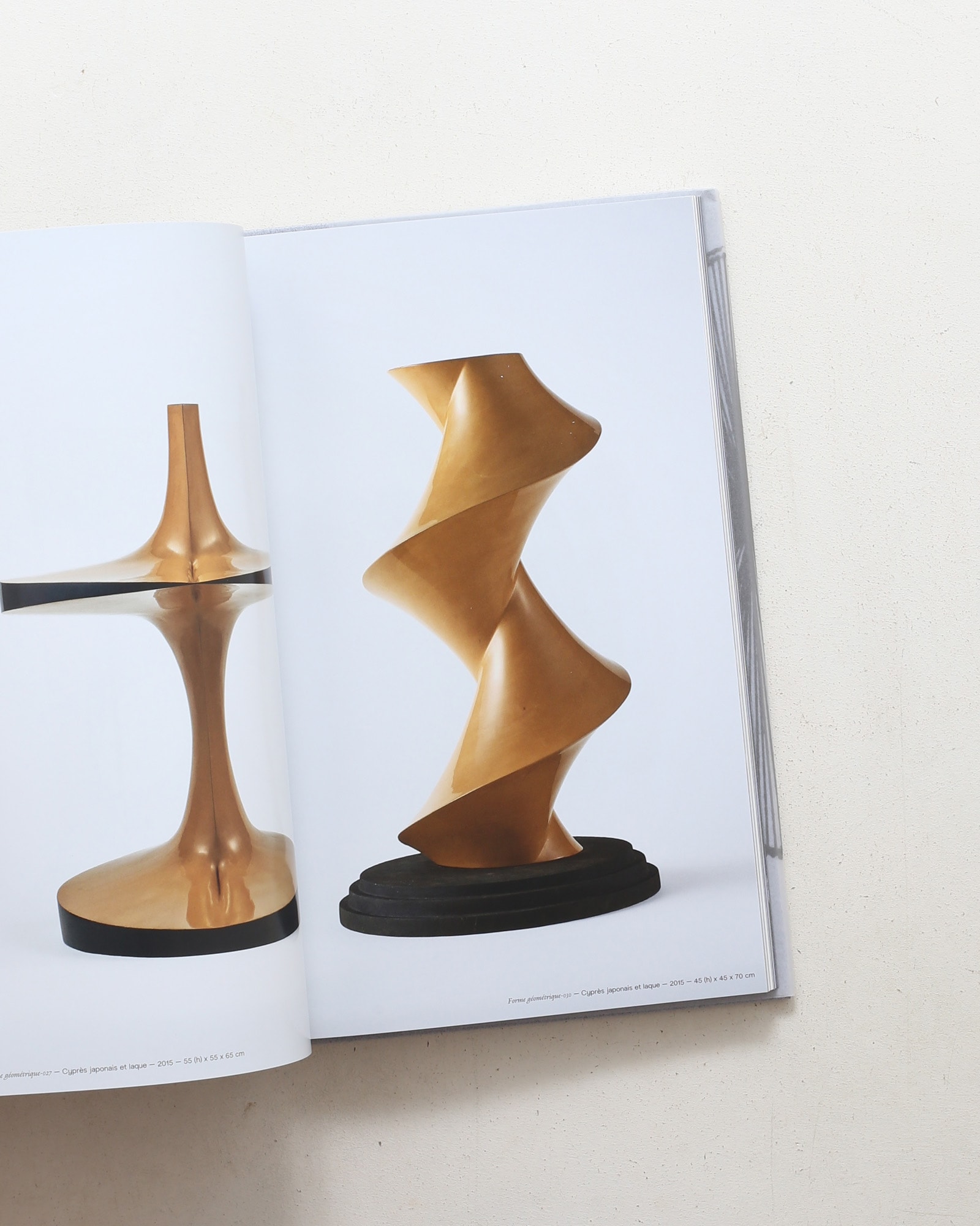 Mathematical Objects | Toshimasa Kikuchi