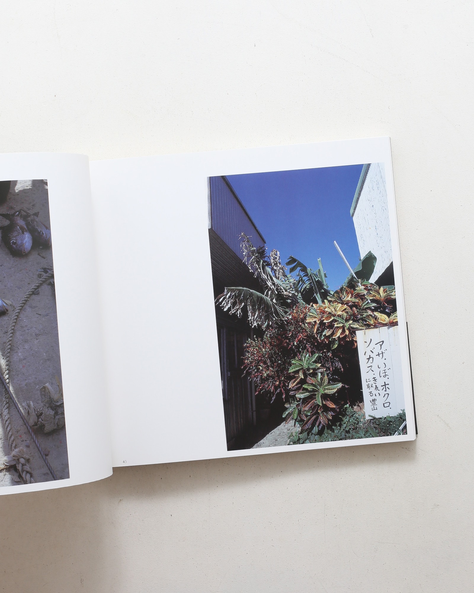 中平卓馬写真集 沖縄・奄美・吐カ喇 1974-1978