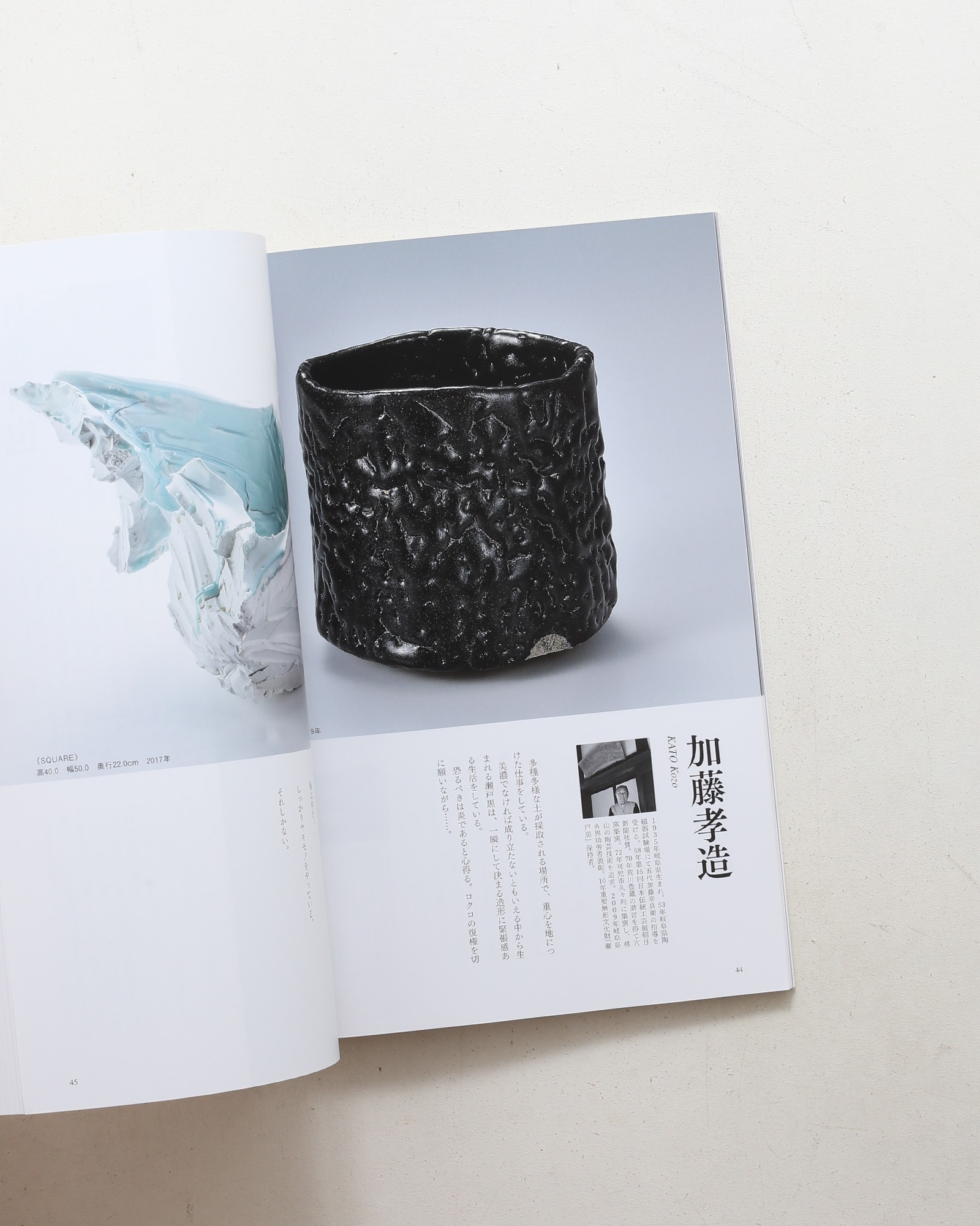 陶芸家150人 : 2020年現代日本の精鋭たち