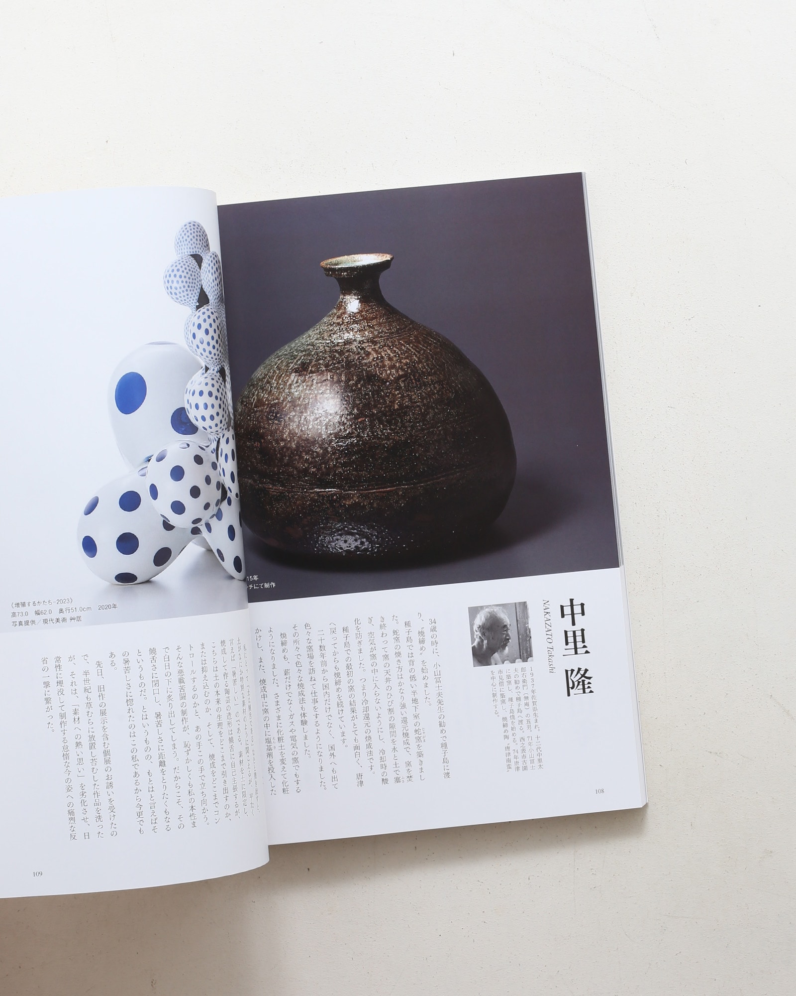 陶芸家150人 : 2020年現代日本の精鋭たち
