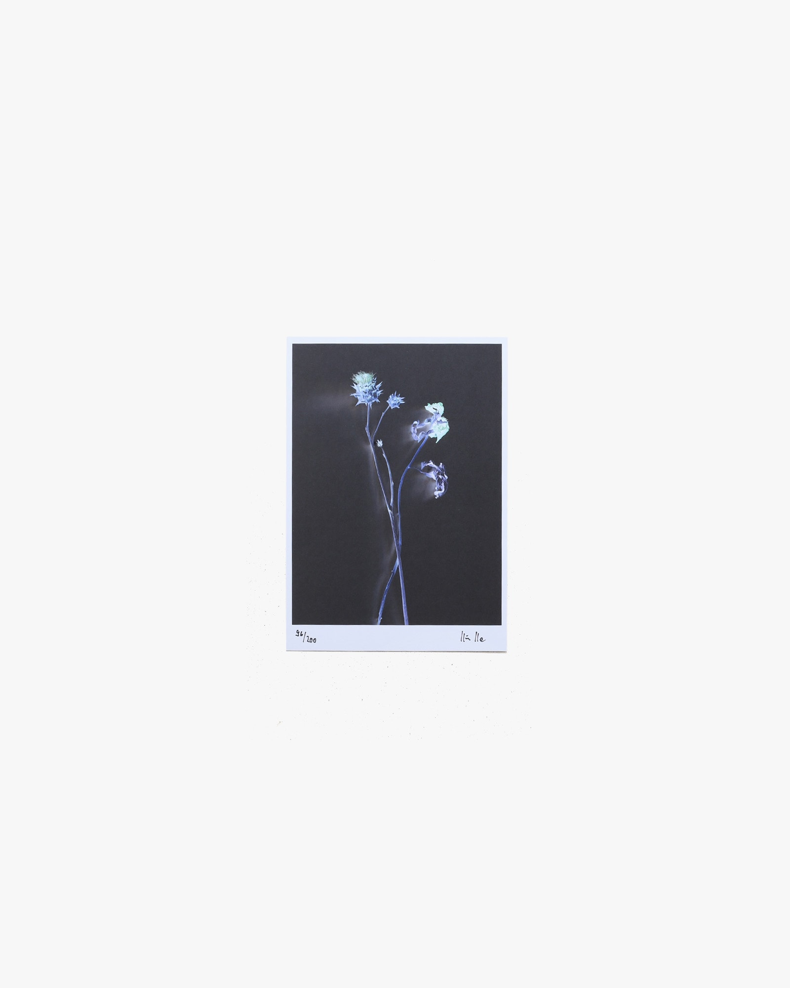 Electricite | Axel Hutte
