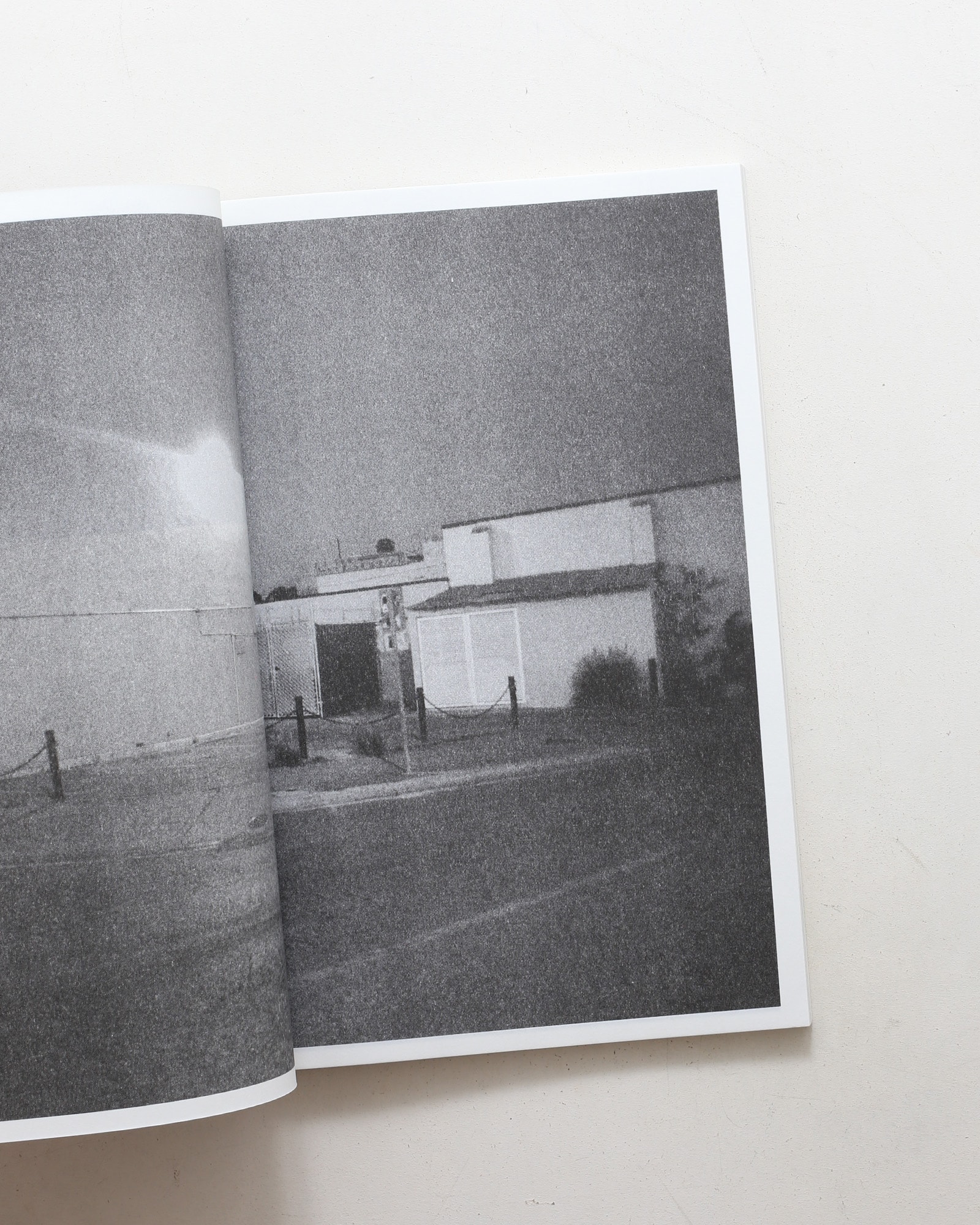 Paradise Lost 004 | Joshua Hoogeboom-Noya