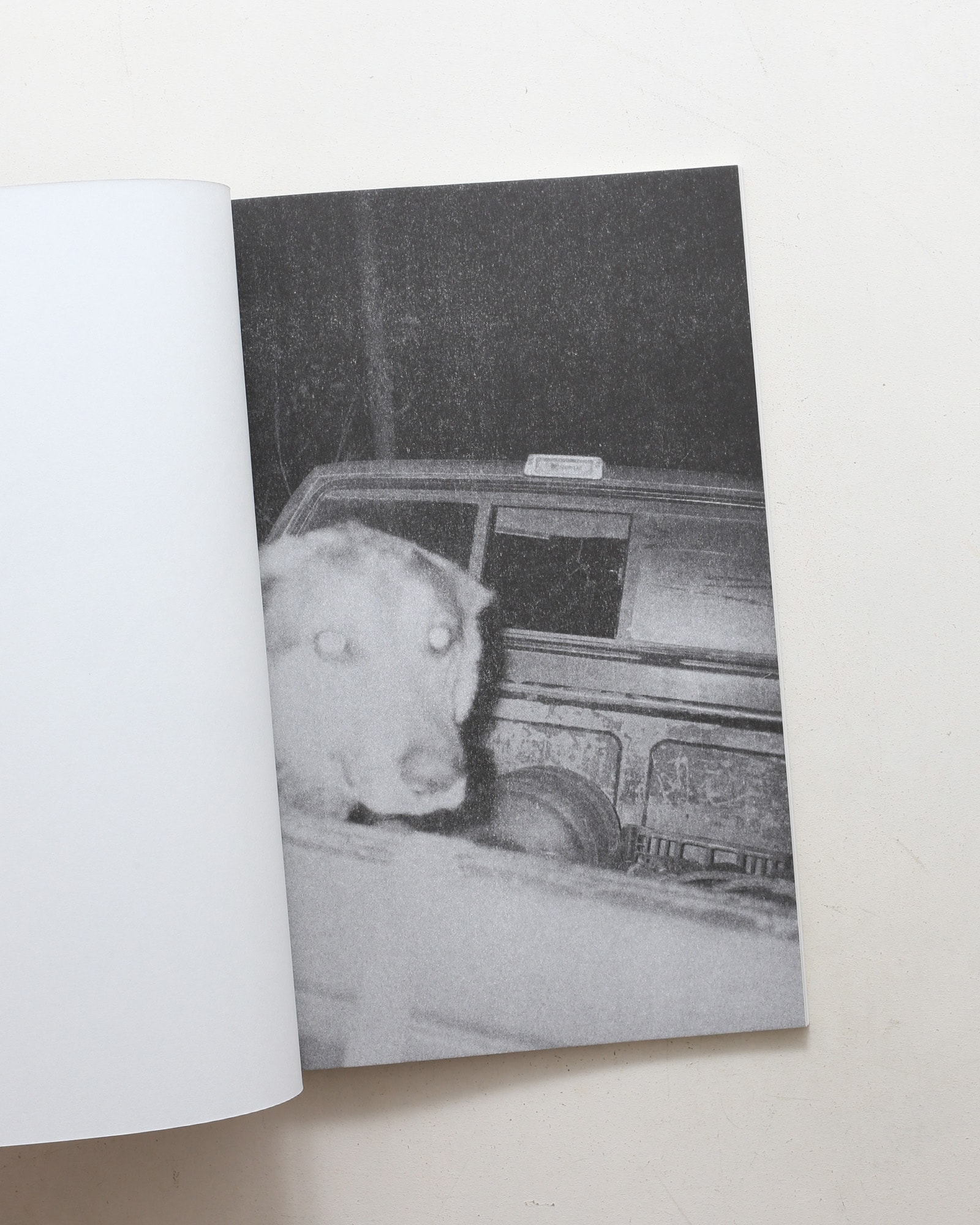 Paradise Lost 004 | Joshua Hoogeboom-Noya
