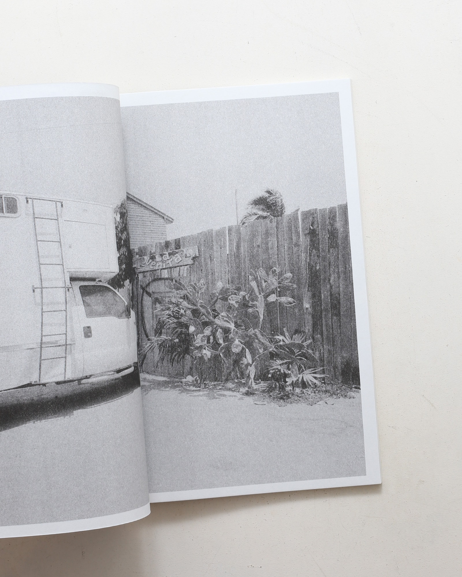 Paradise Lost 004 | Joshua Hoogeboom-Noya