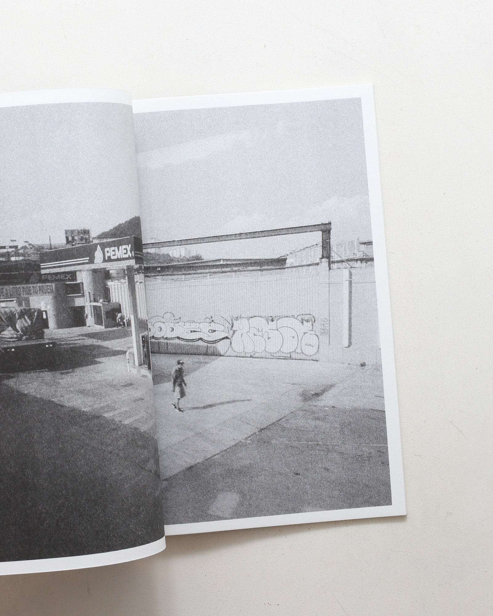 Paradise Lost 004 | Joshua Hoogeboom-Noya