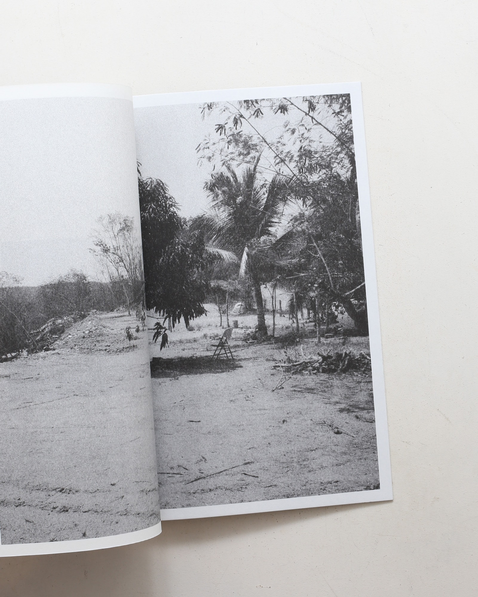 Paradise Lost 004 | Joshua Hoogeboom-Noya