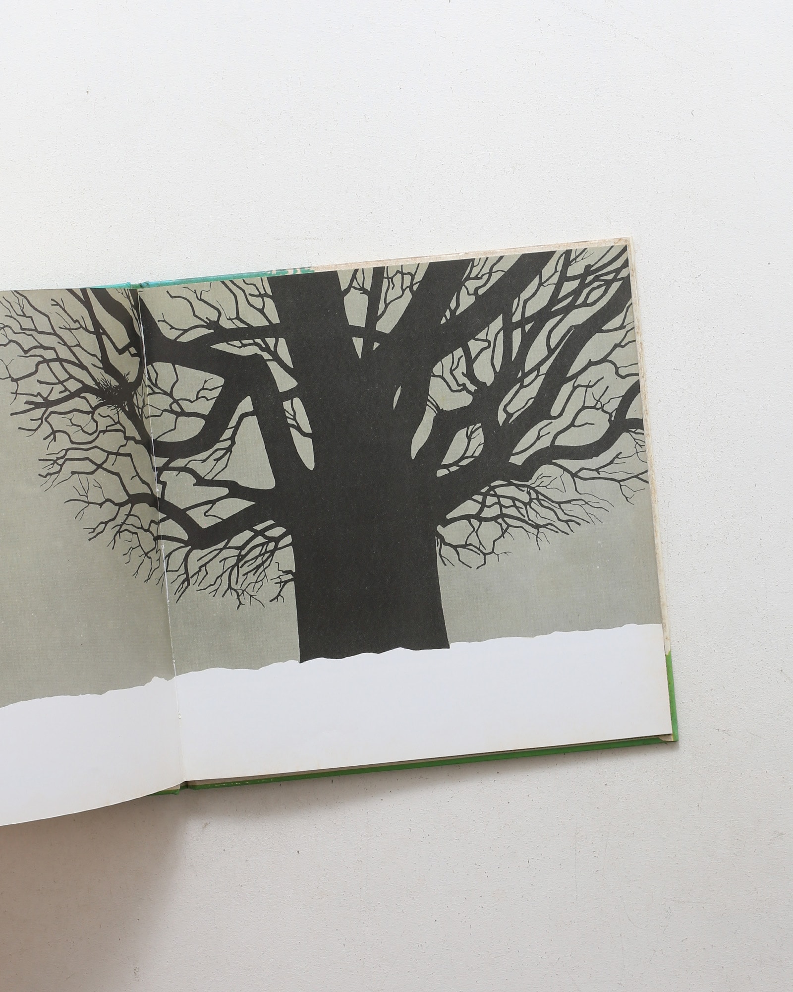 L'albero | Iela Mari