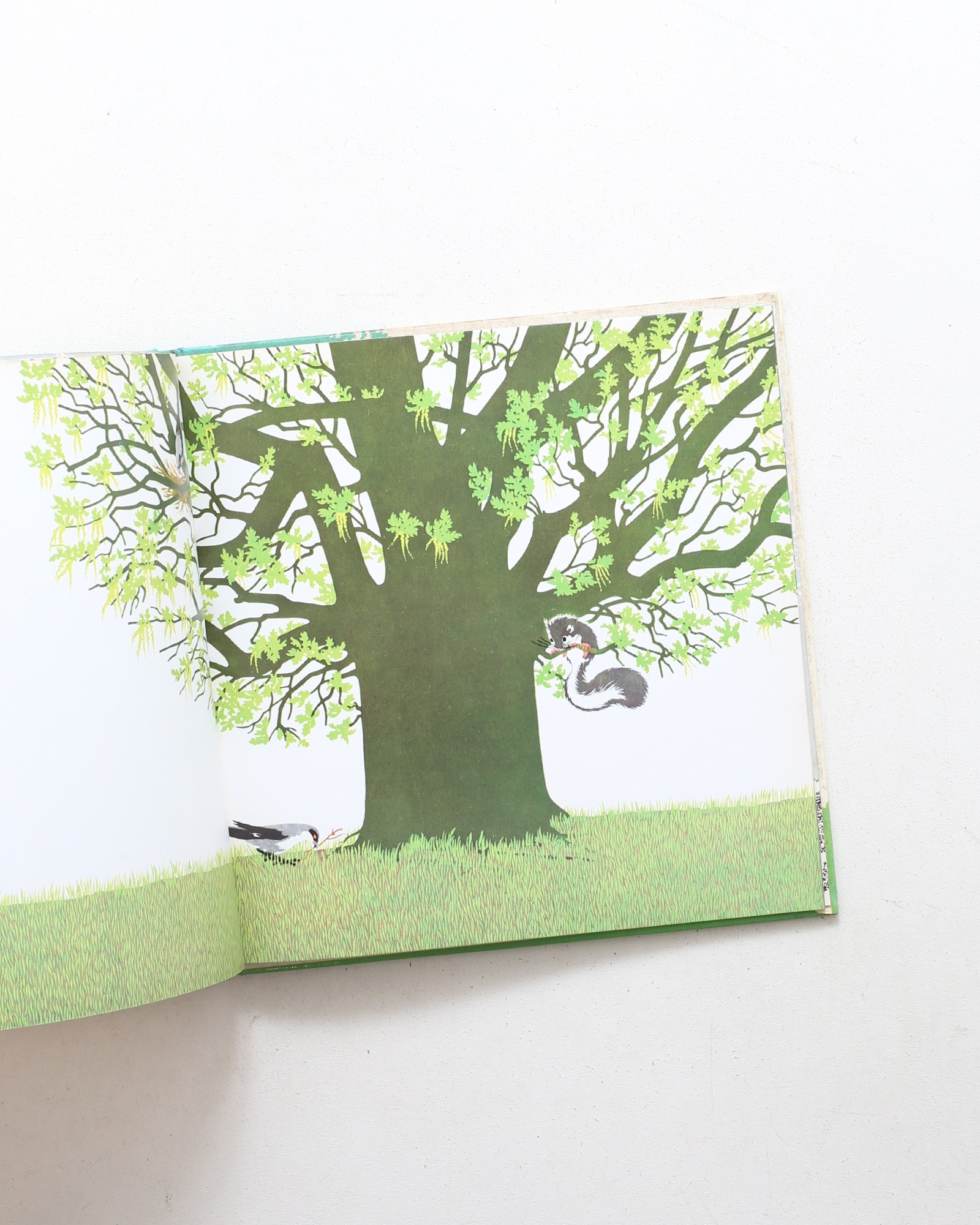 L'albero | Iela Mari