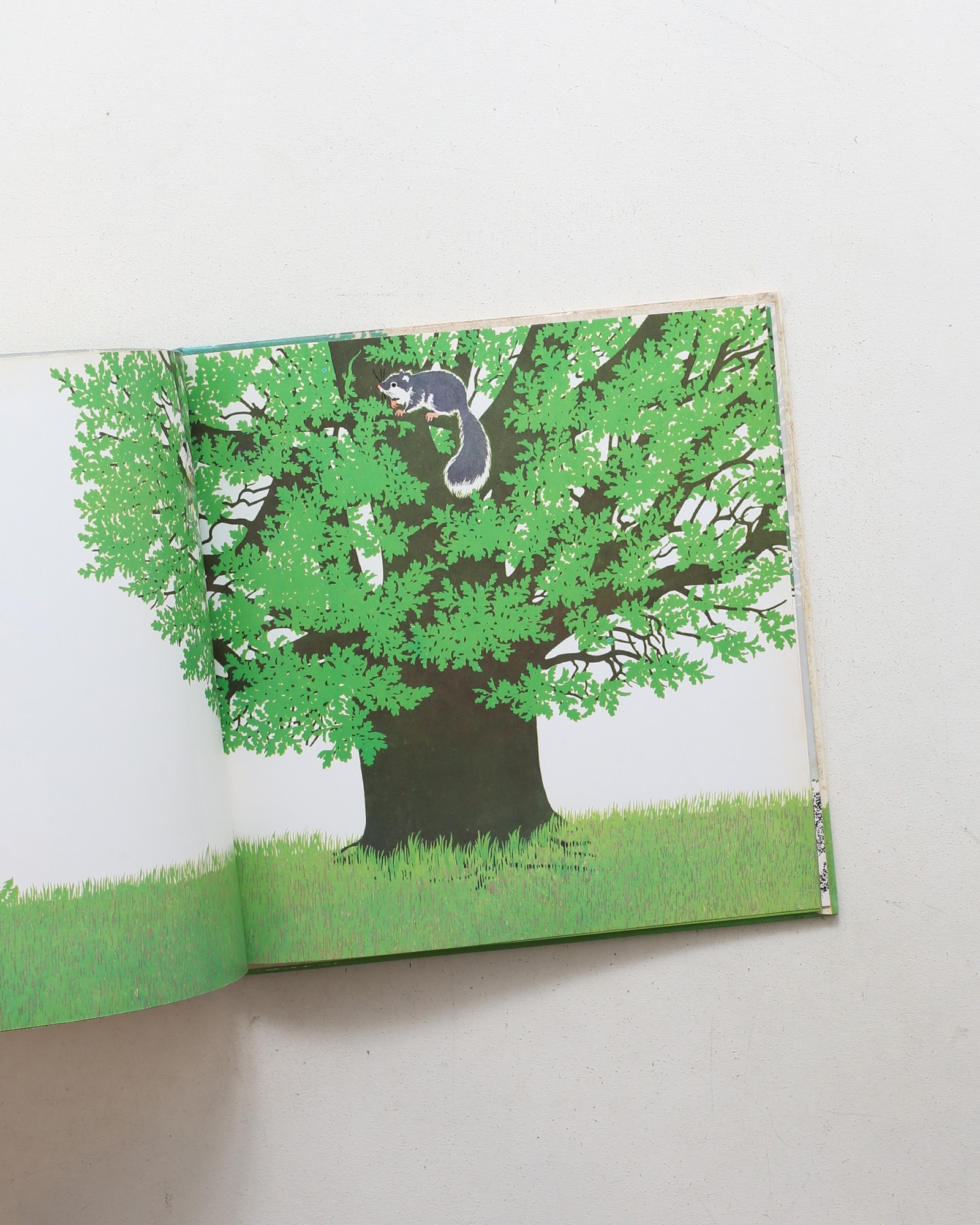 L'albero | Iela Mari