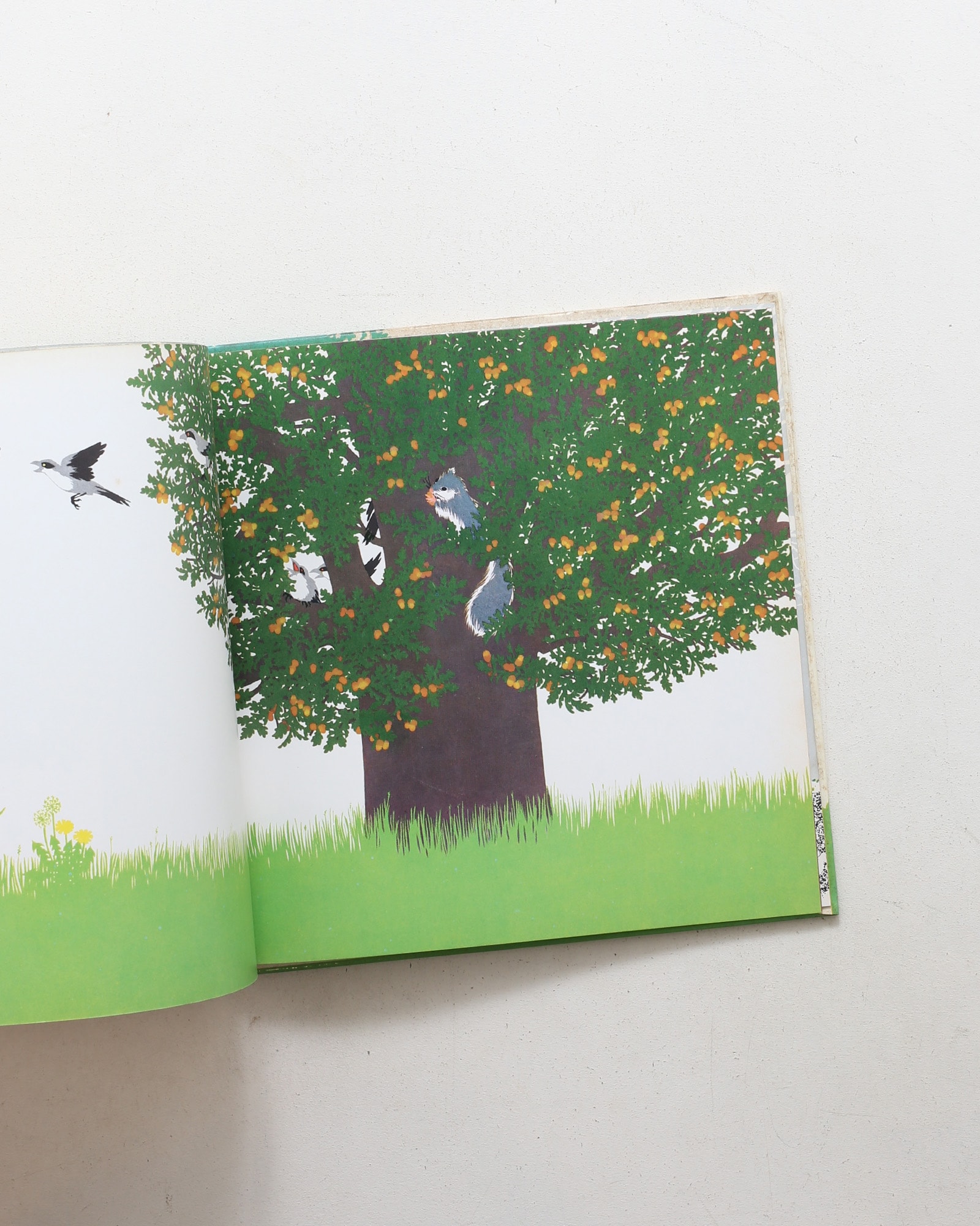 L'albero | Iela Mari