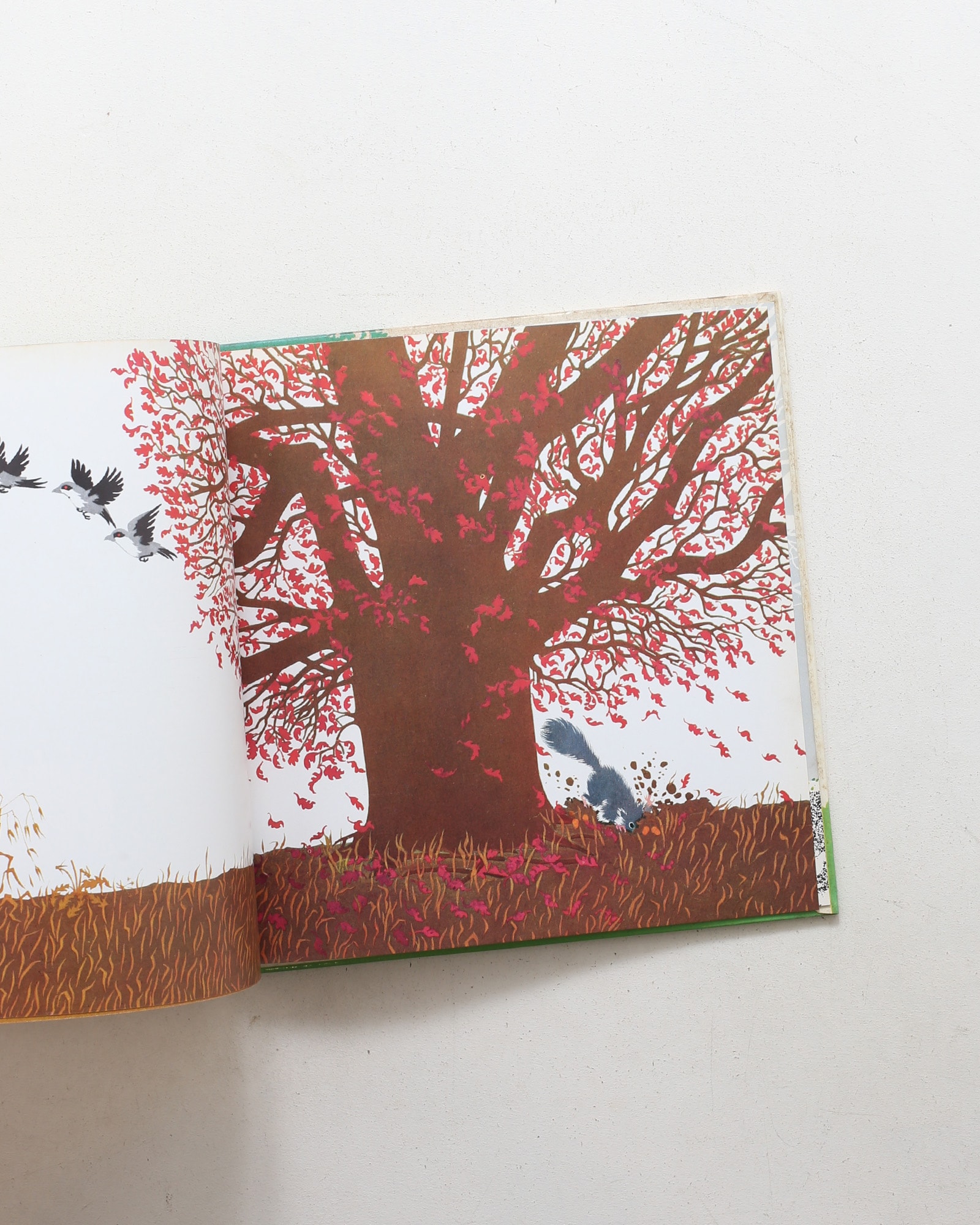L'albero | Iela Mari