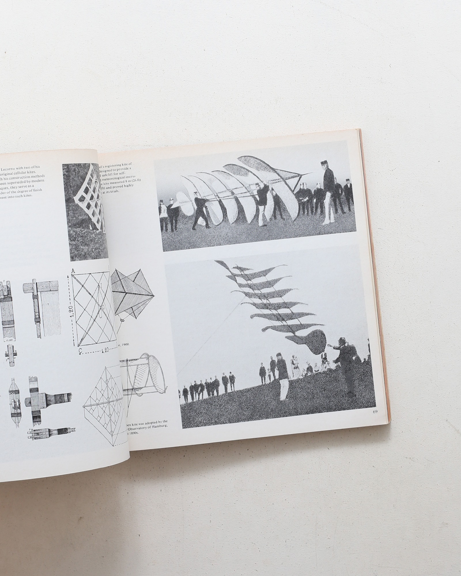 The Penguin Book of Kites