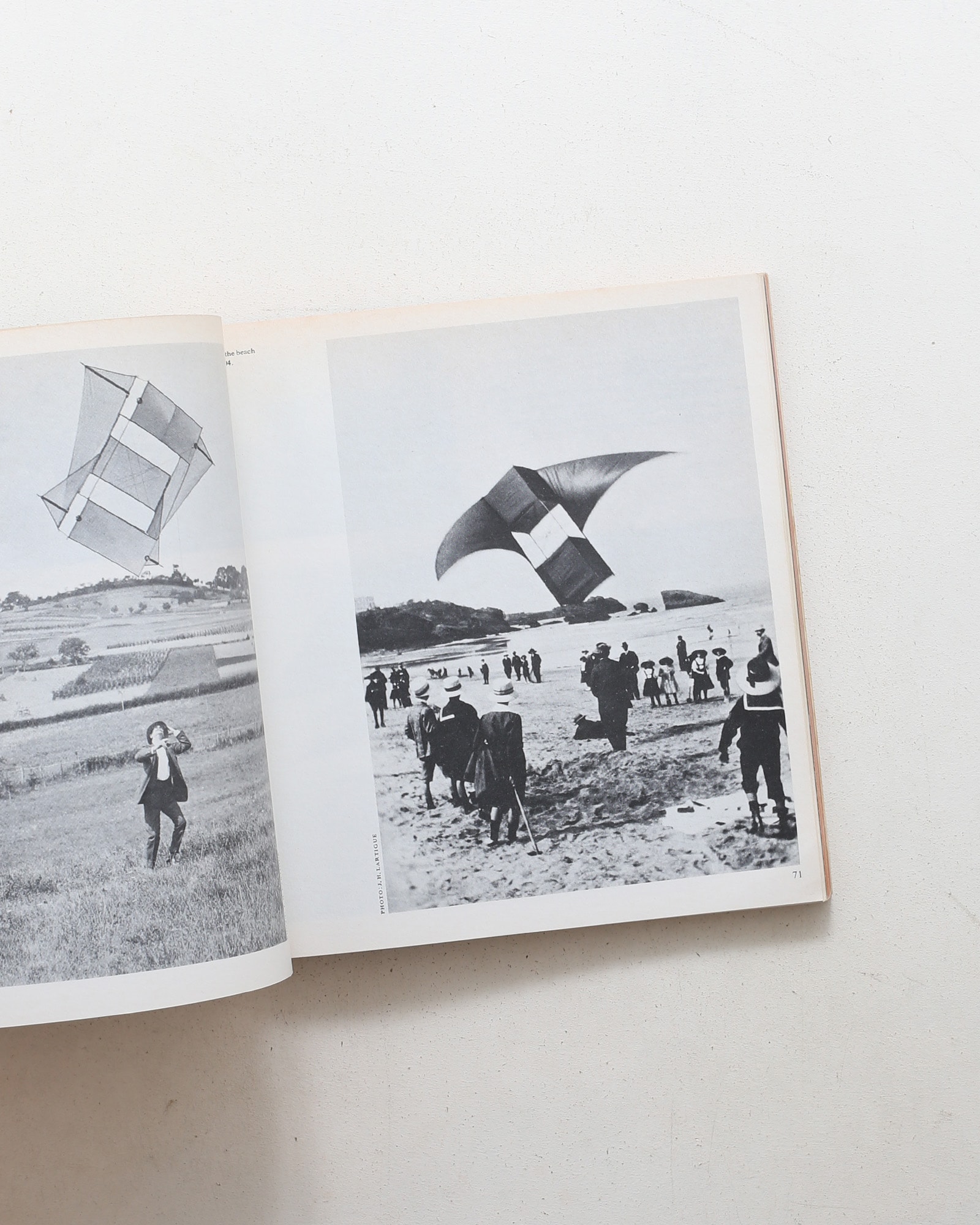 The Penguin Book of Kites
