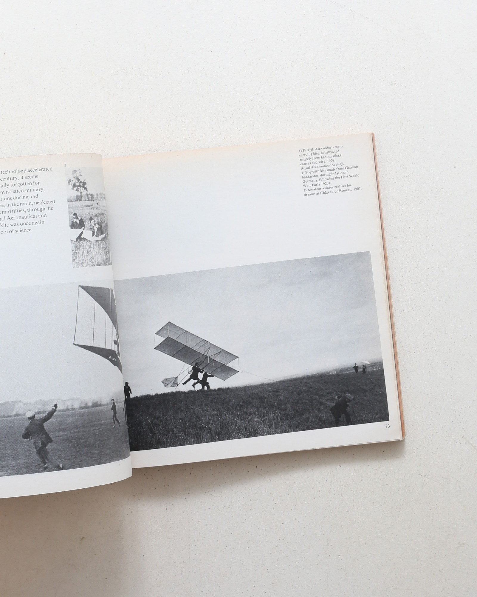 The Penguin Book of Kites