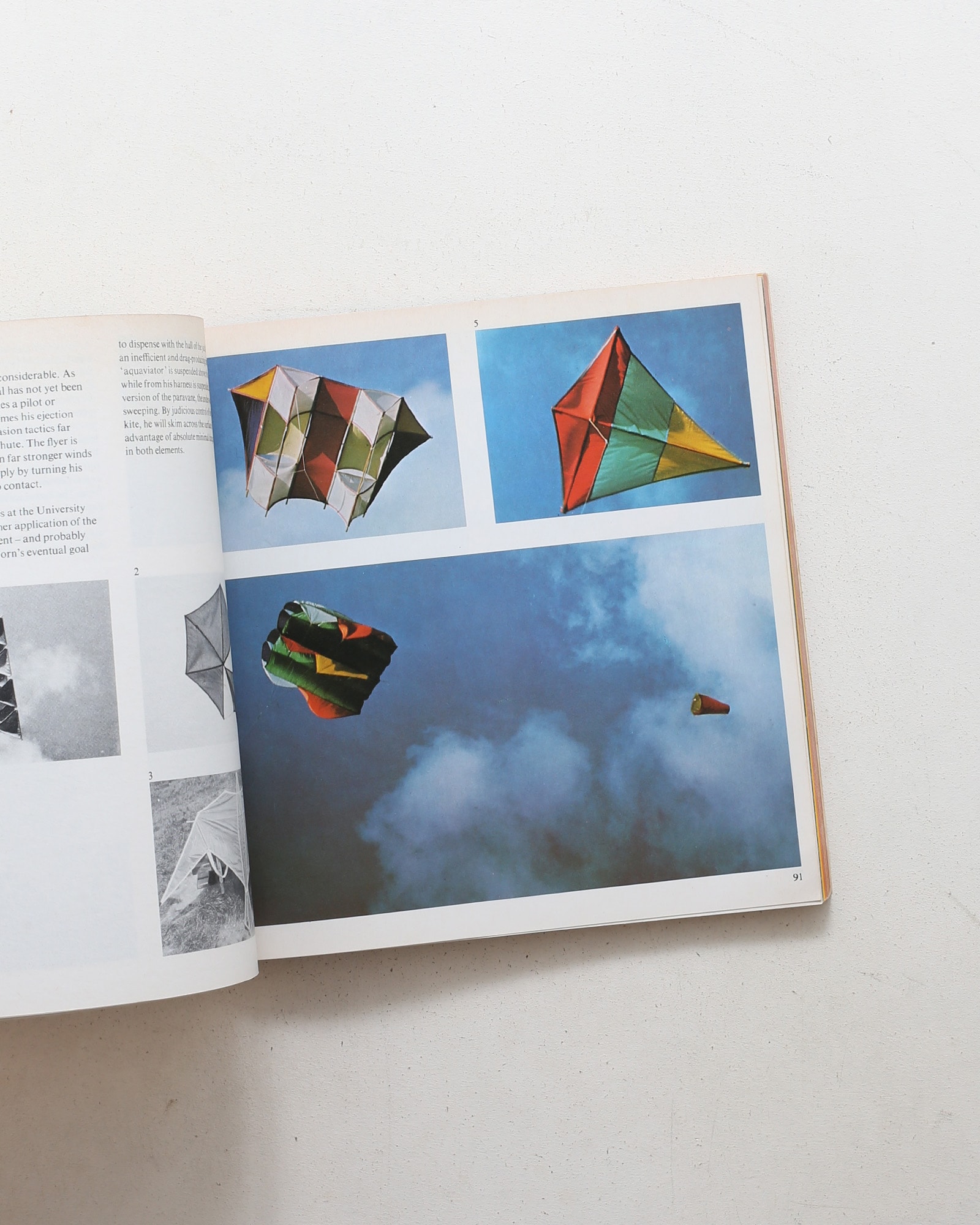 The Penguin Book of Kites