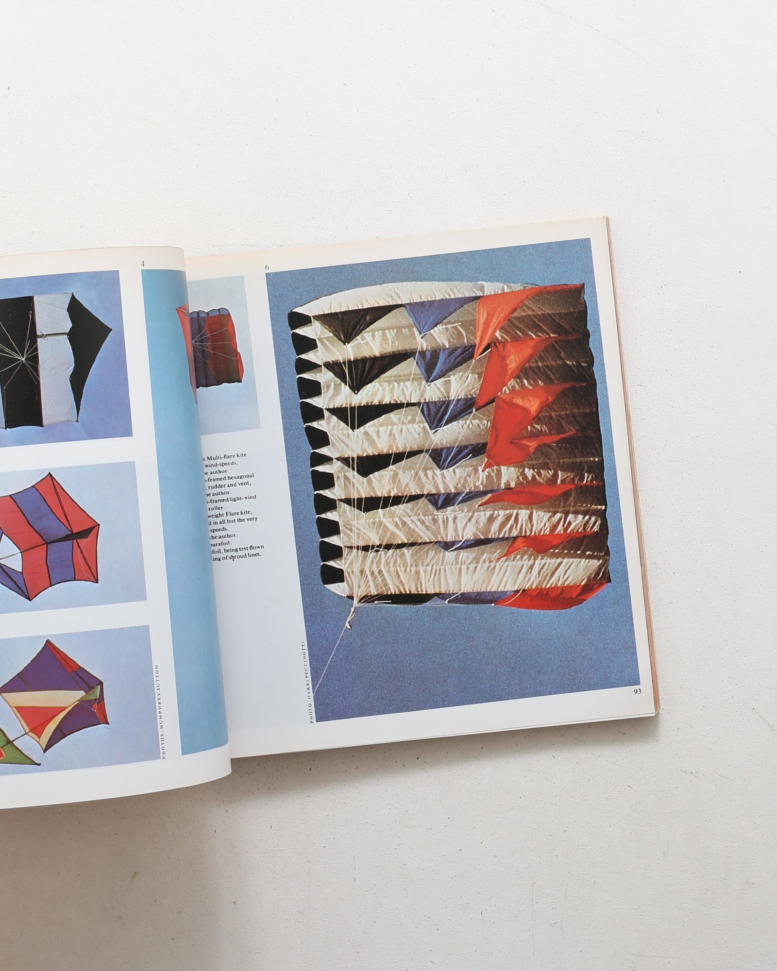 The Penguin Book of Kites