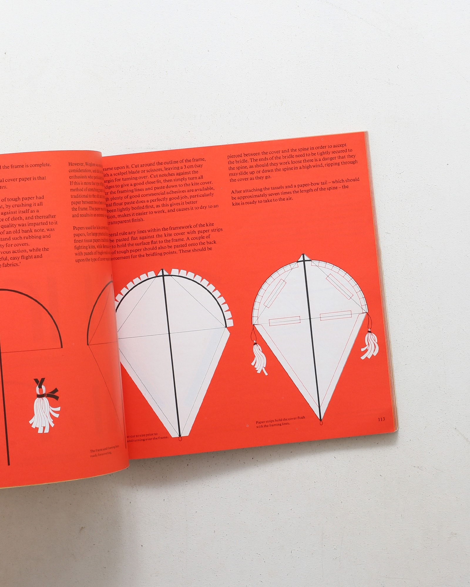 The Penguin Book of Kites
