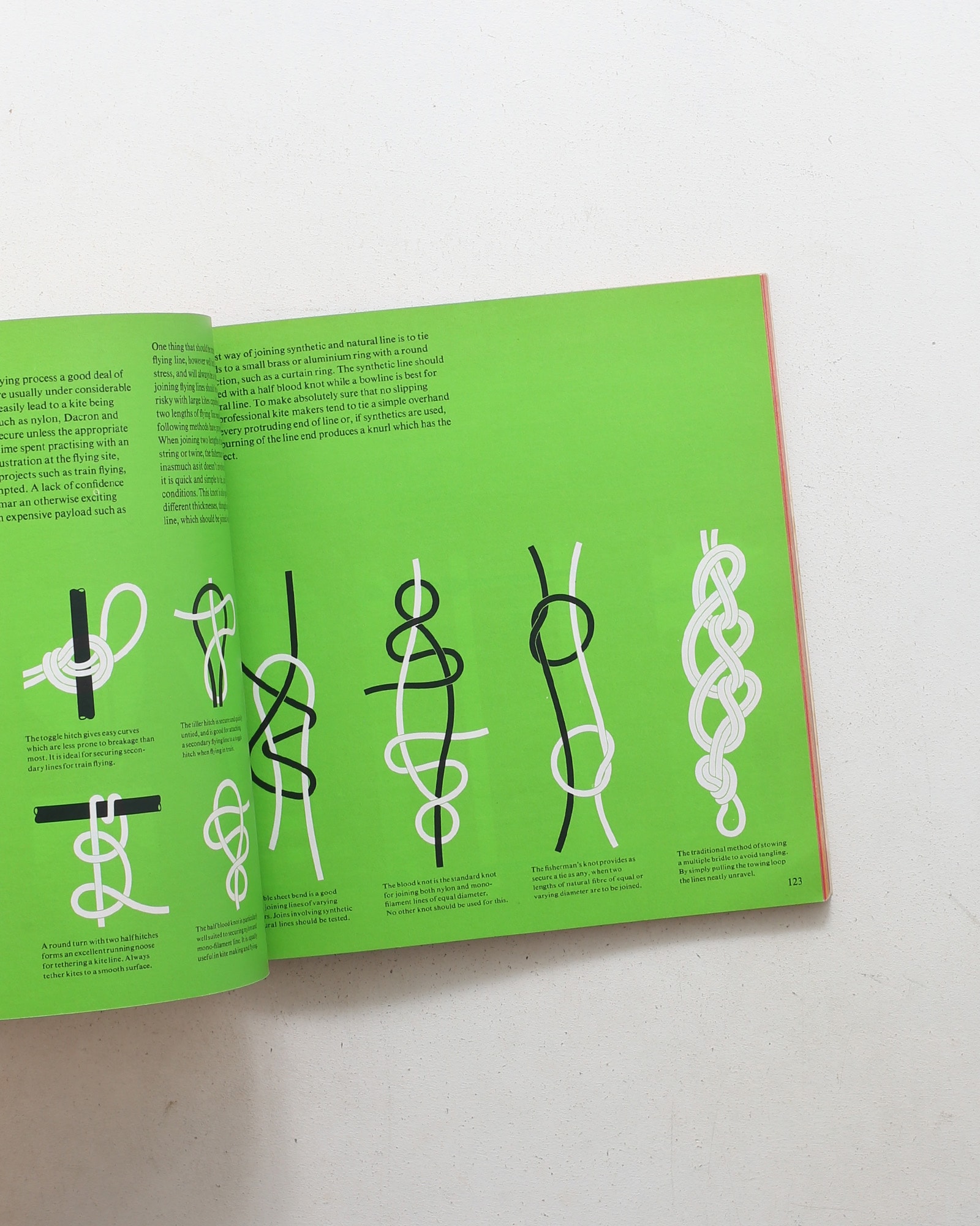 The Penguin Book of Kites
