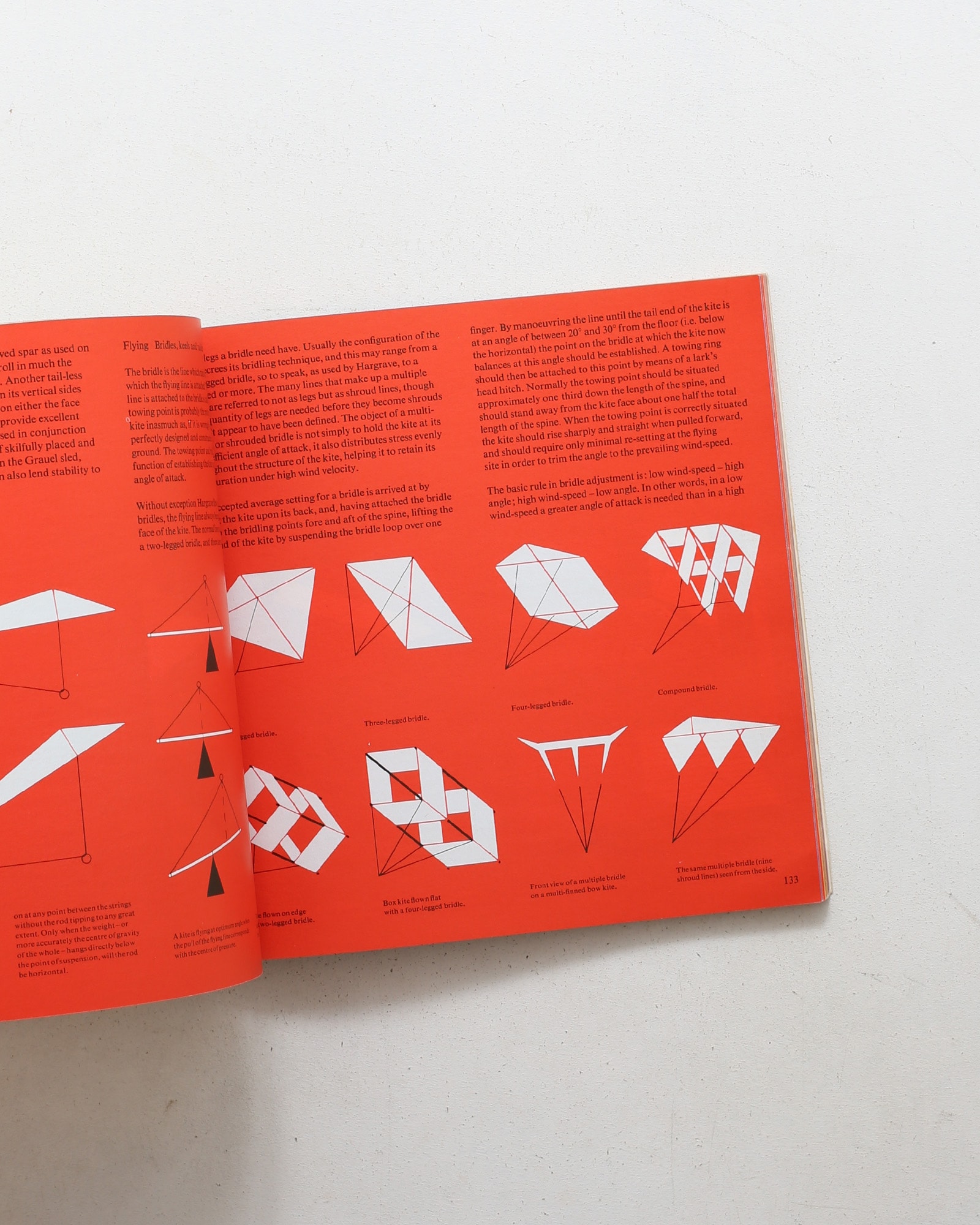 The Penguin Book of Kites