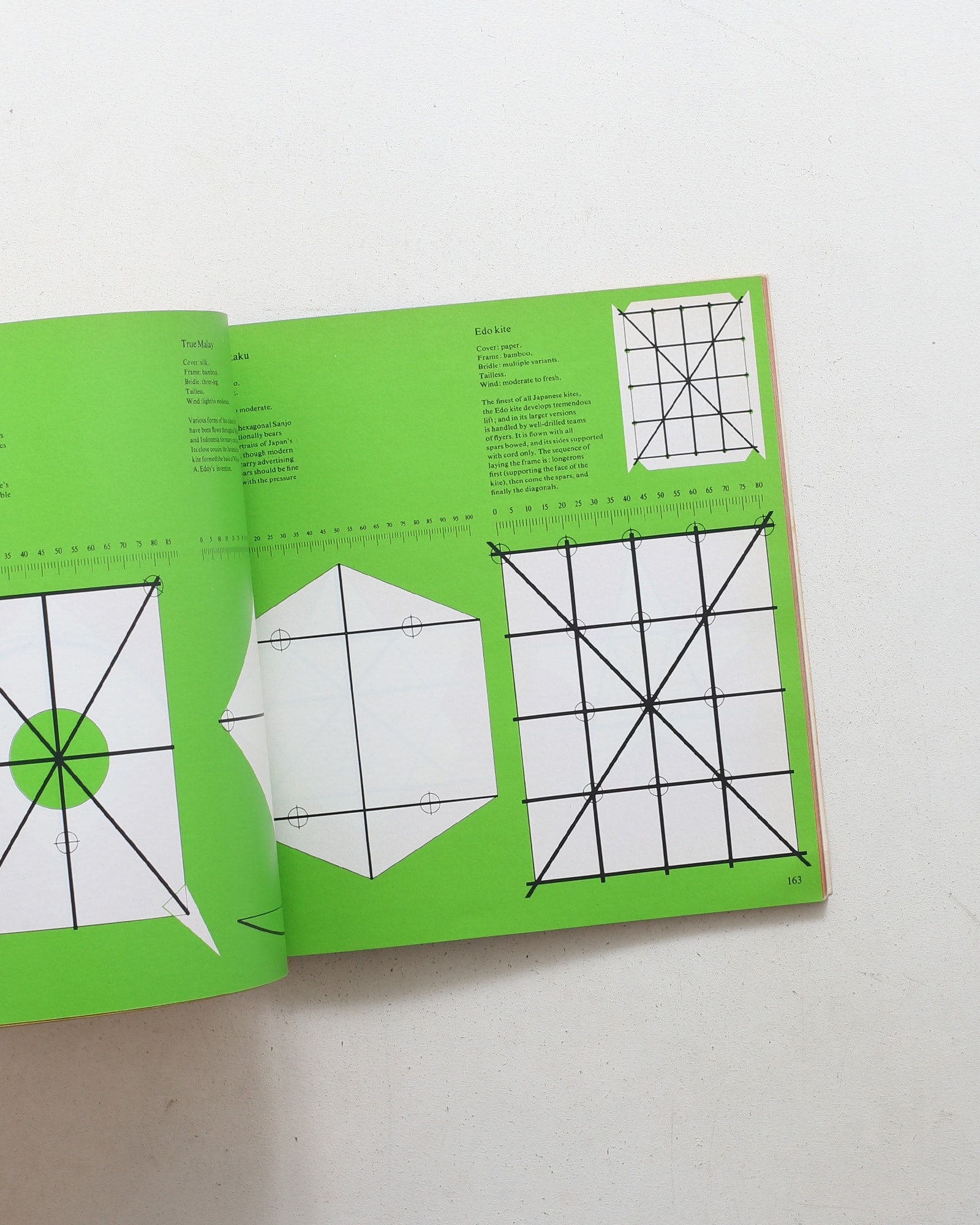The Penguin Book of Kites