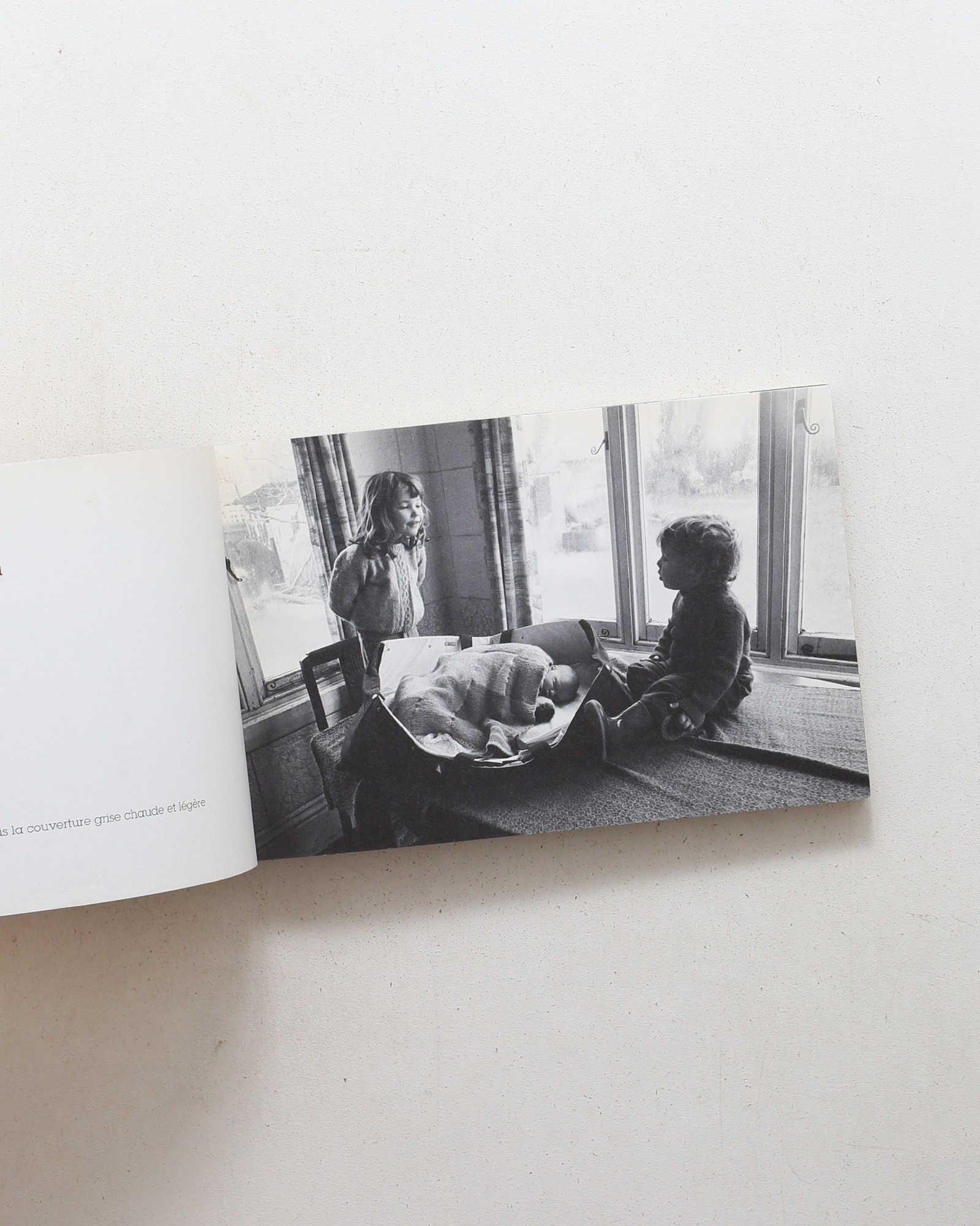 Cicci Cocco | Enzo Arnone、Bruno Munari