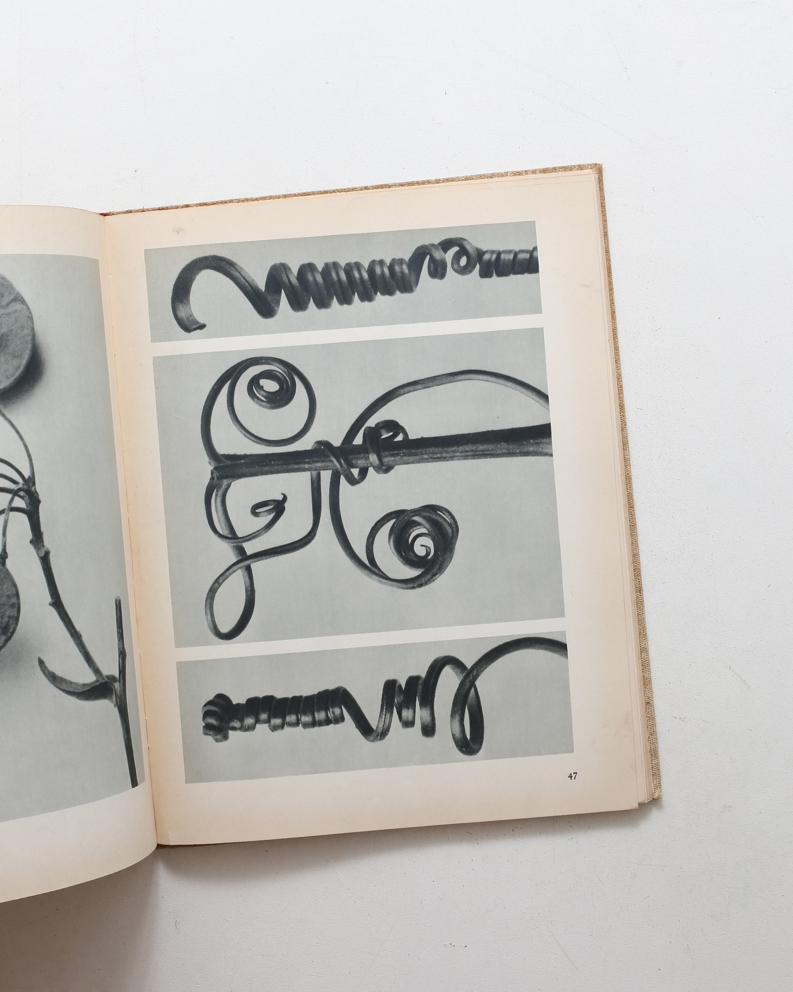 Art Forms in Nature | Karl Blossfeldt