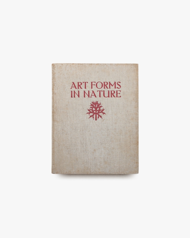 Art Forms in Nature | Karl Blossfeldt