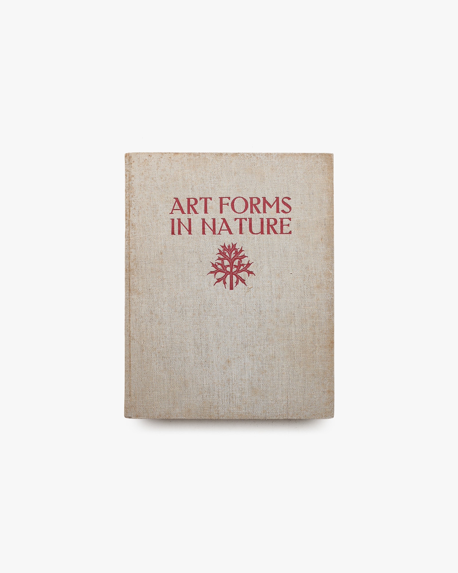 Art Forms in Nature | Karl Blossfeldt