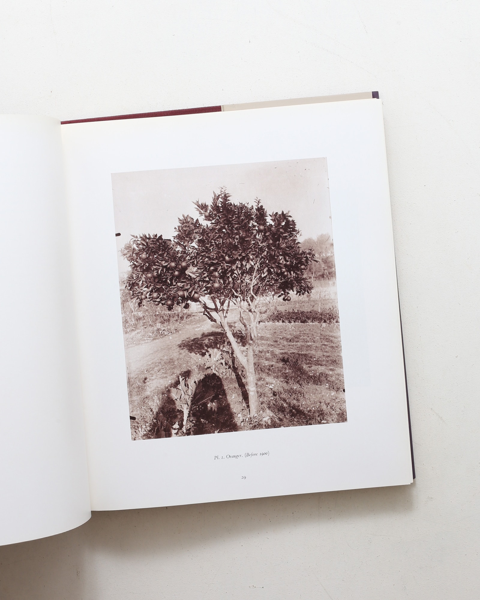 The Work of Atget: Old France