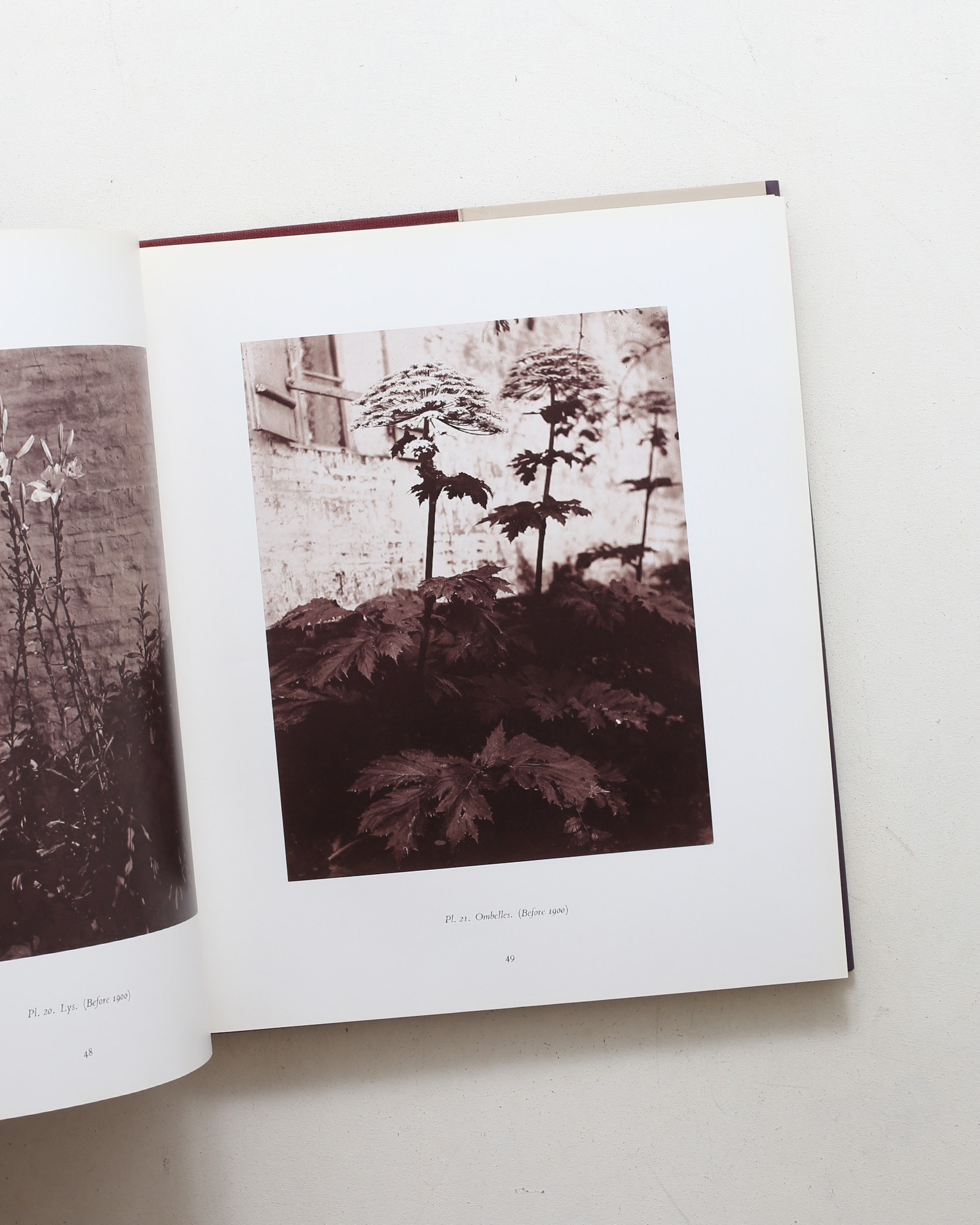 The Work of Atget: Old France