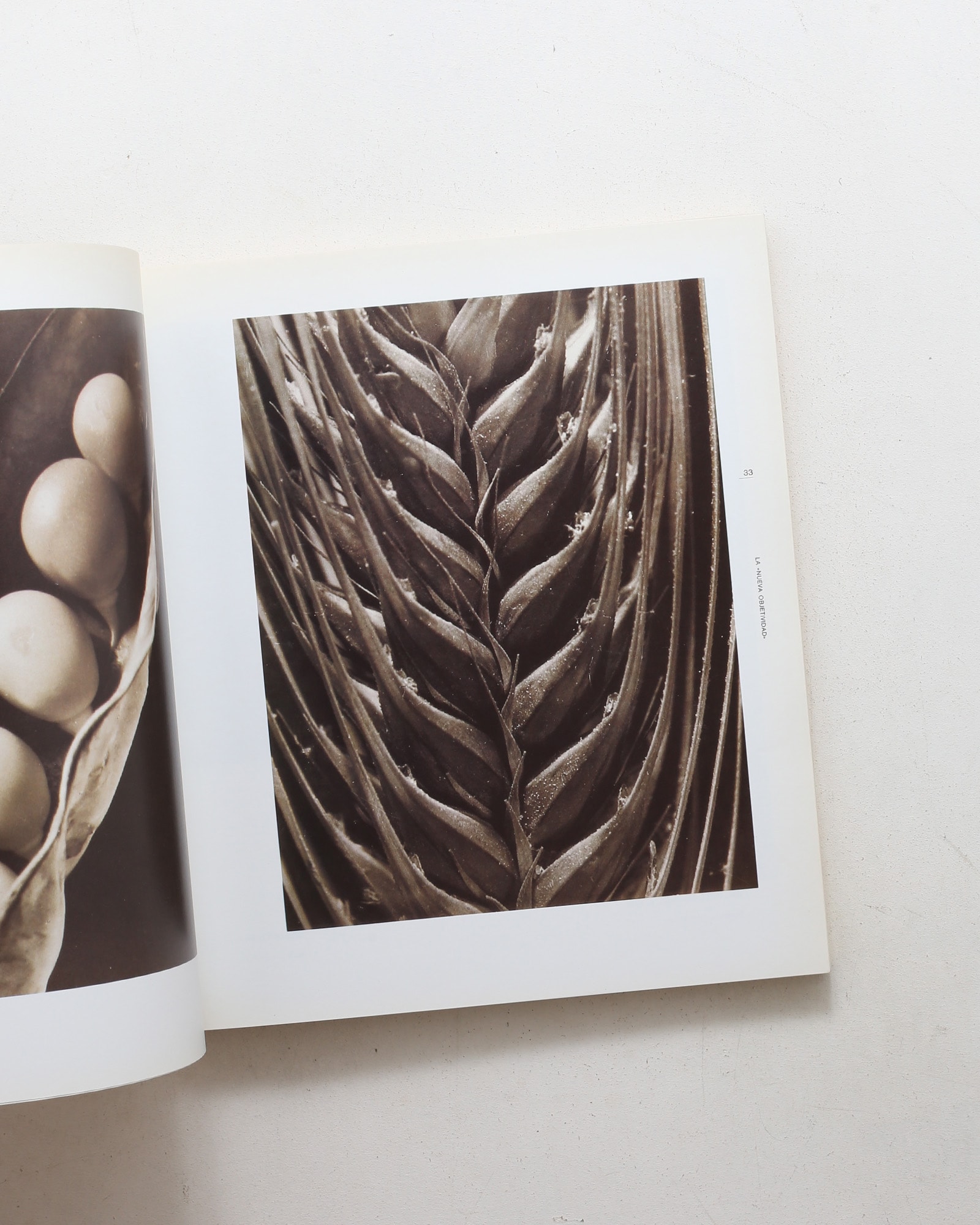 Idas & Chaos: Trends in Spanish Photography 1920-1945
