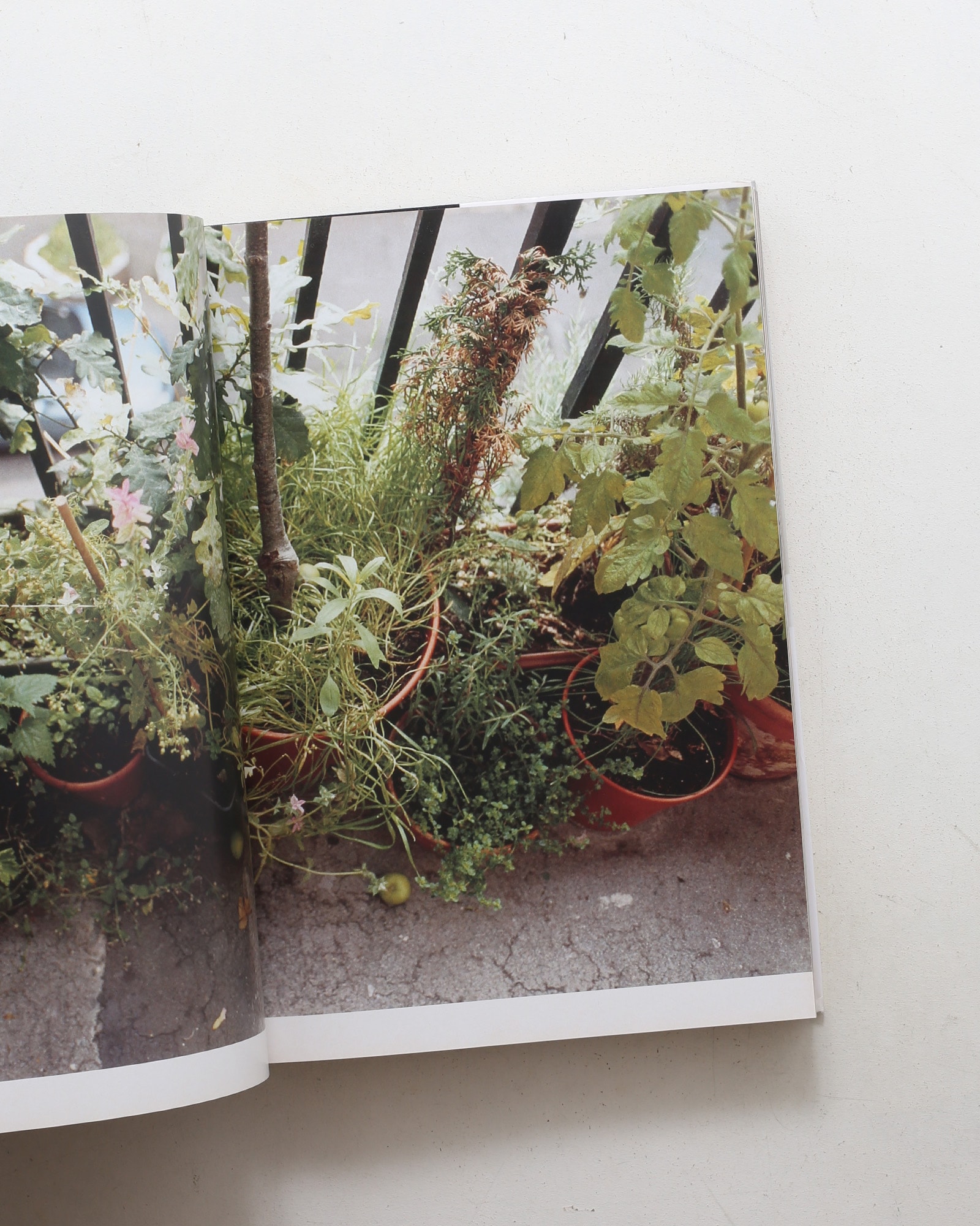 Manual | Wolfgang Tillmans