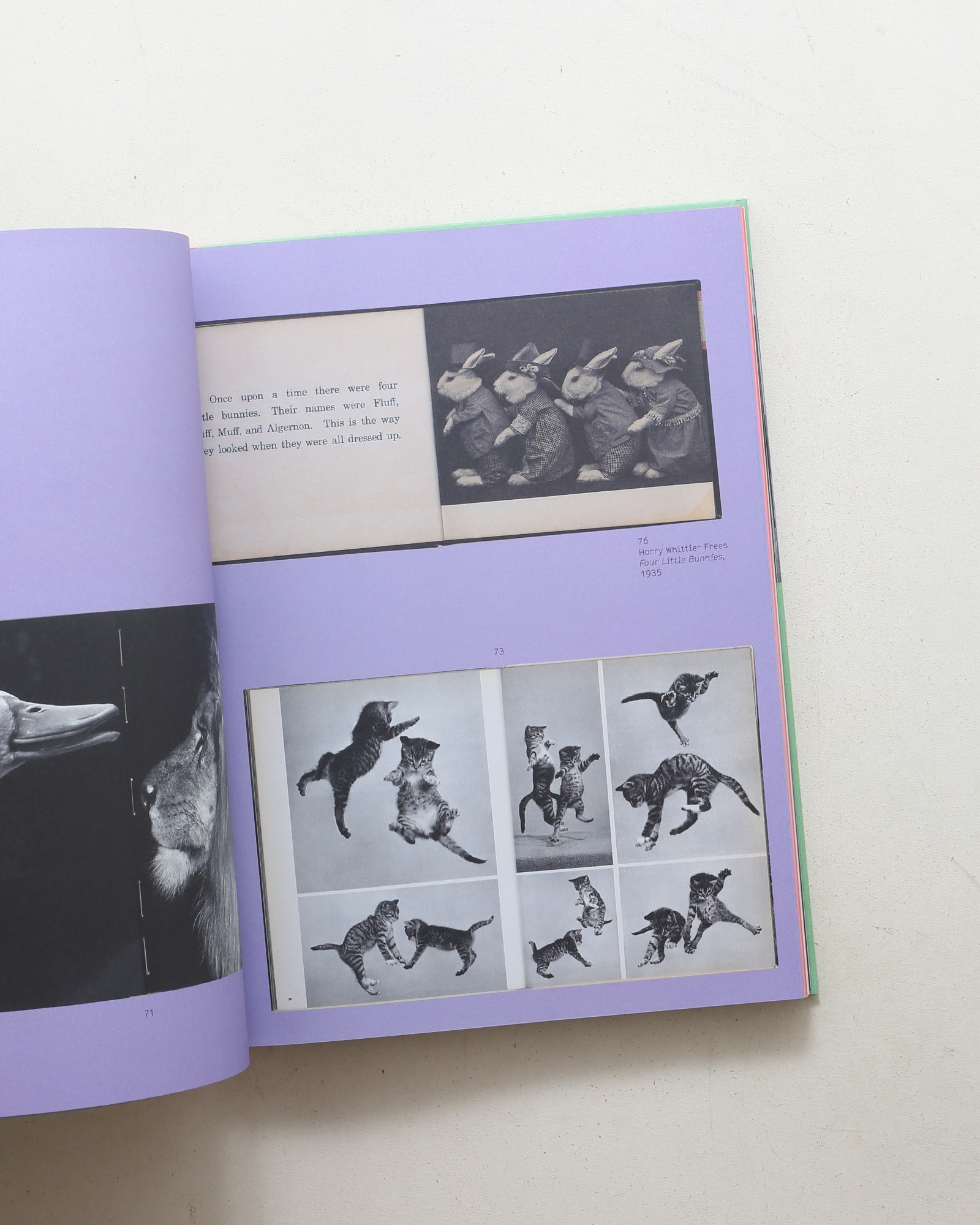 L Is for Look: Children's Photobooks