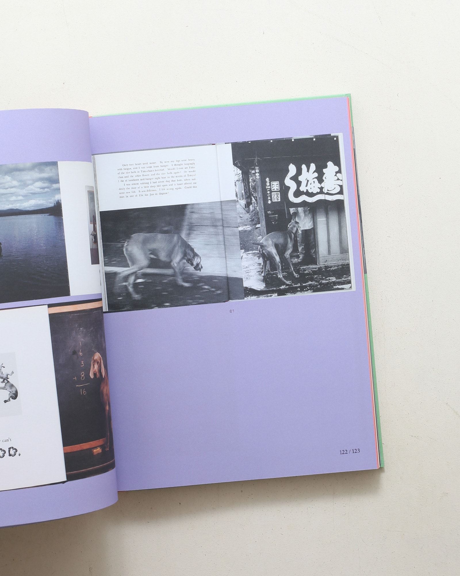 L Is for Look: Children's Photobooks