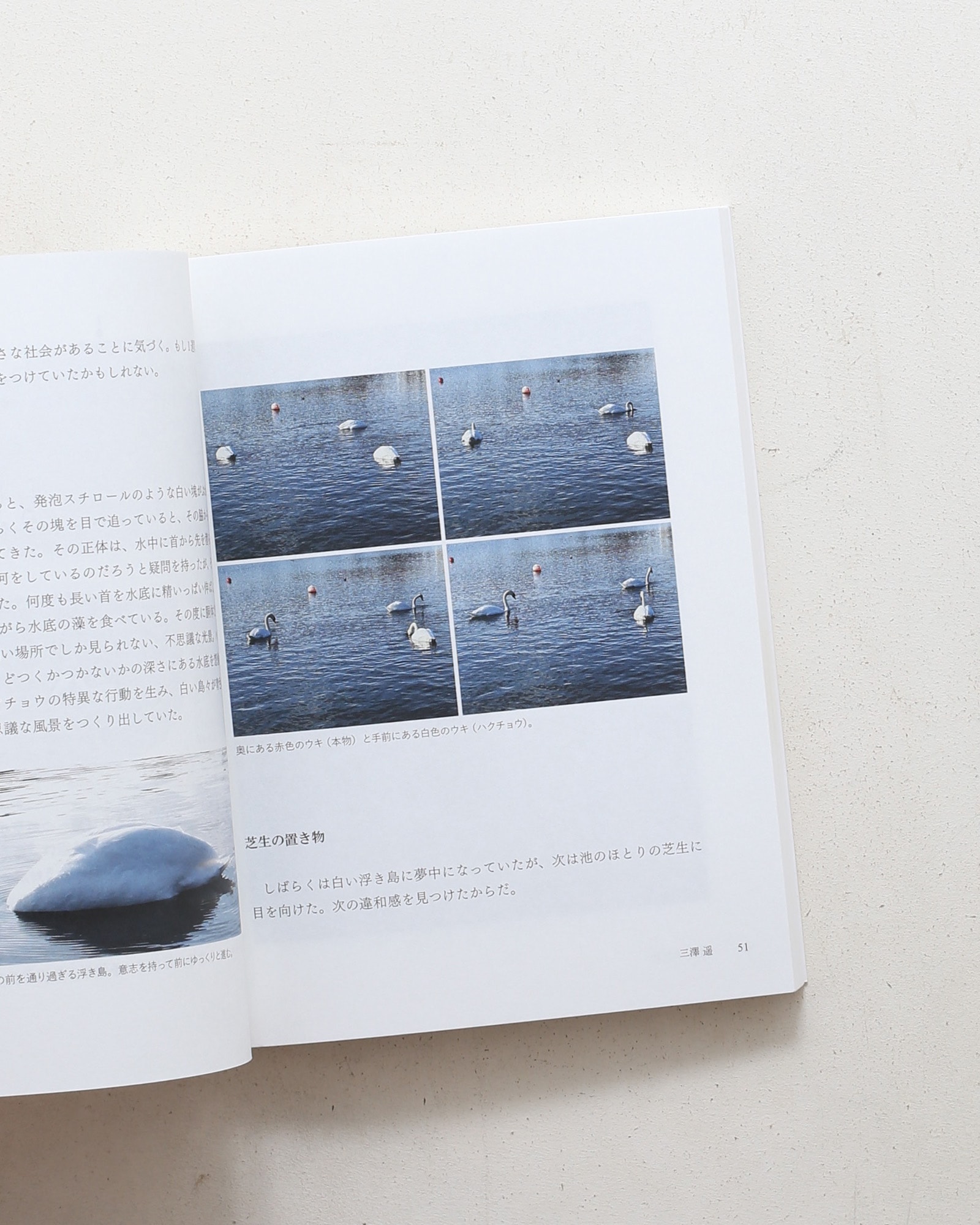 DESIGN SCIENCE_03