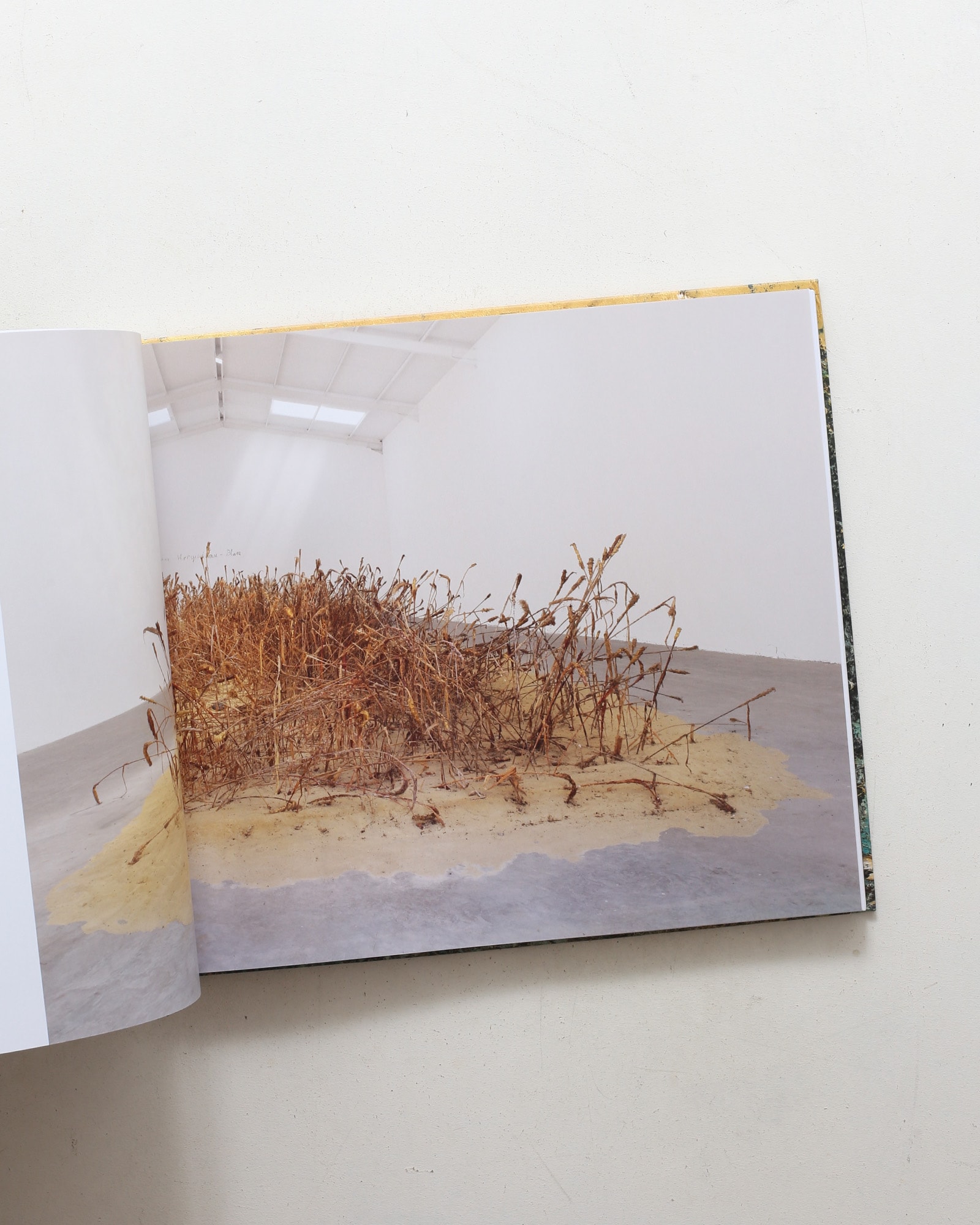 SOLARIS | Anselm Kiefer | nostos books ノストスブックス
