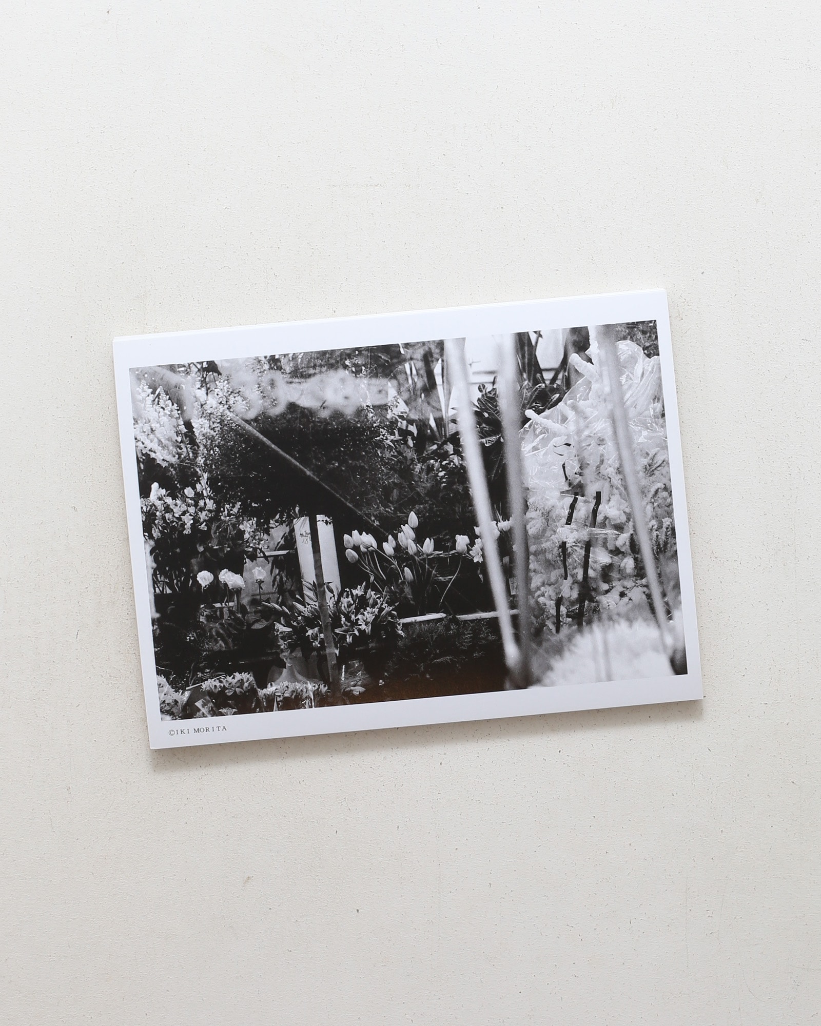 森田衣起 写真集 III