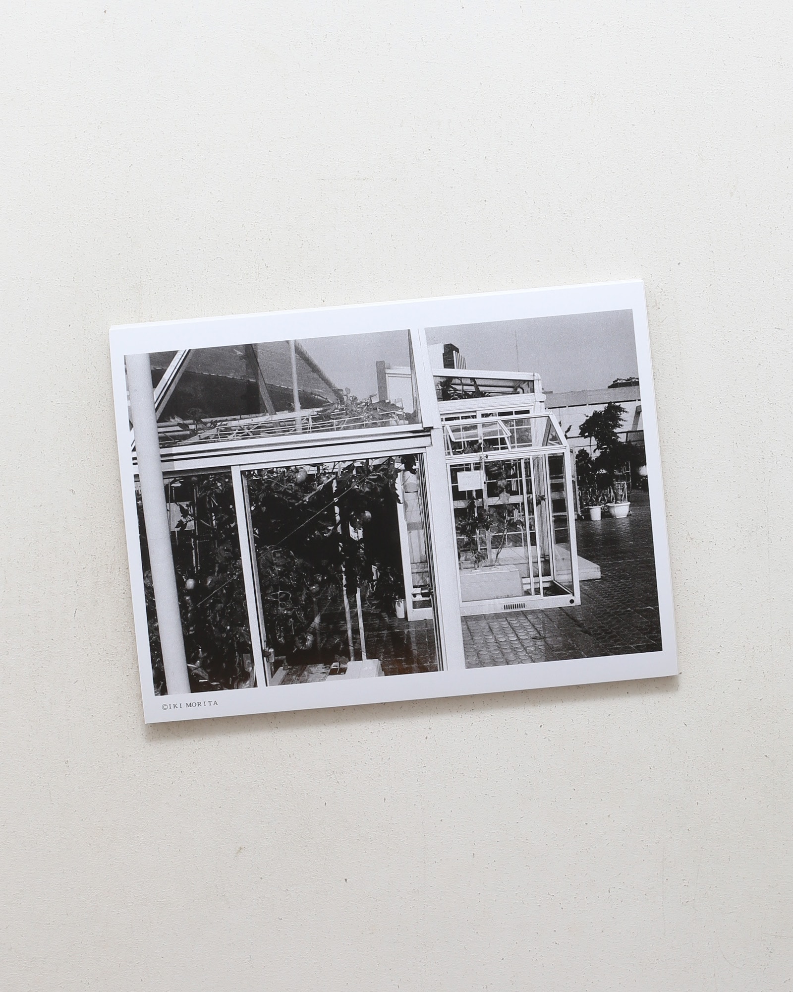 森田衣起 写真集 III