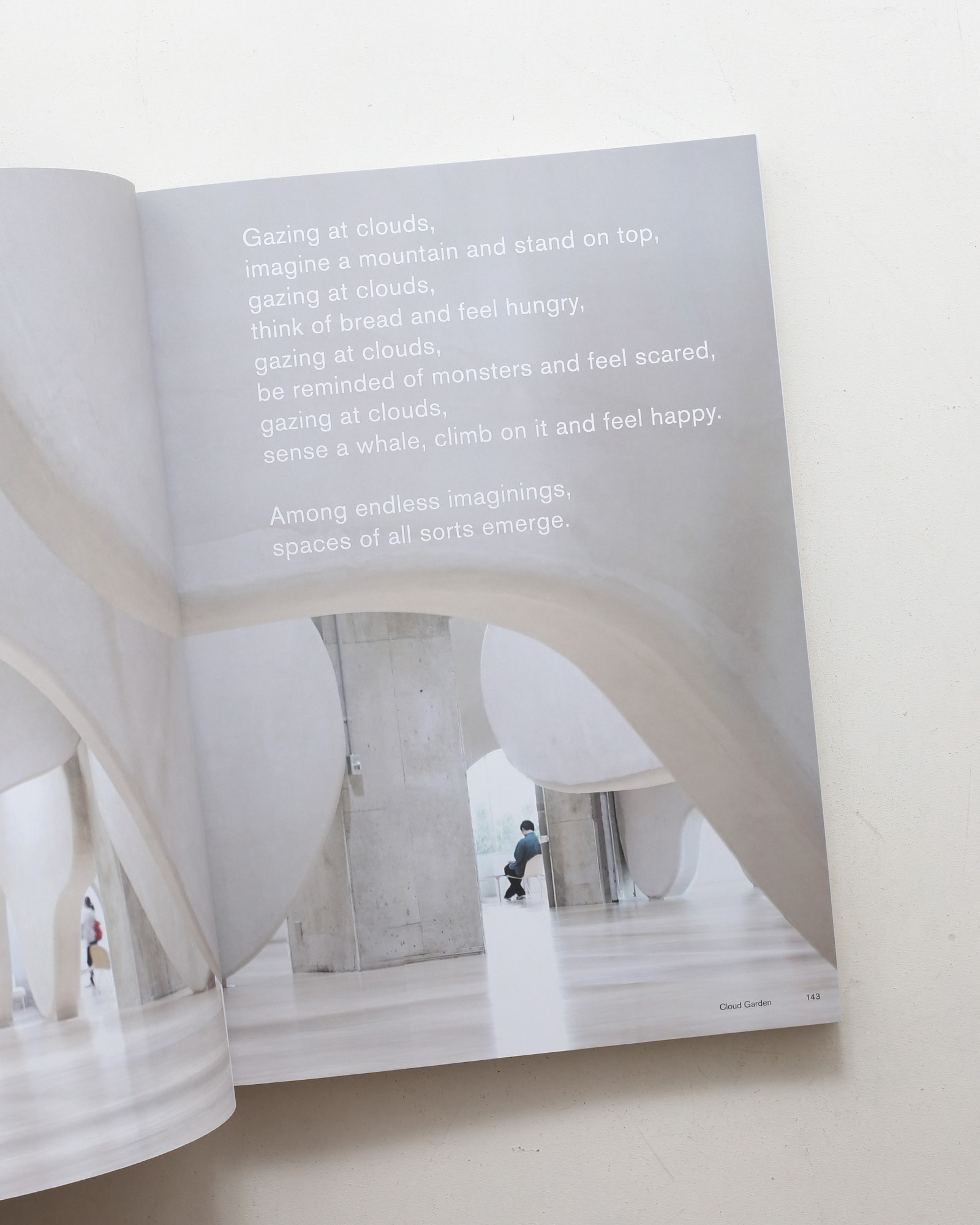 Freeing Architecture 英語版 | Junya Ishigami