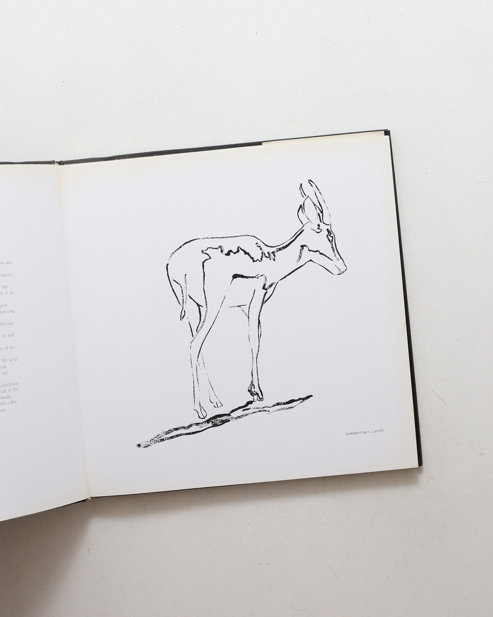 Vanishing Animals | Andy Warhol、Kurt Benirschke