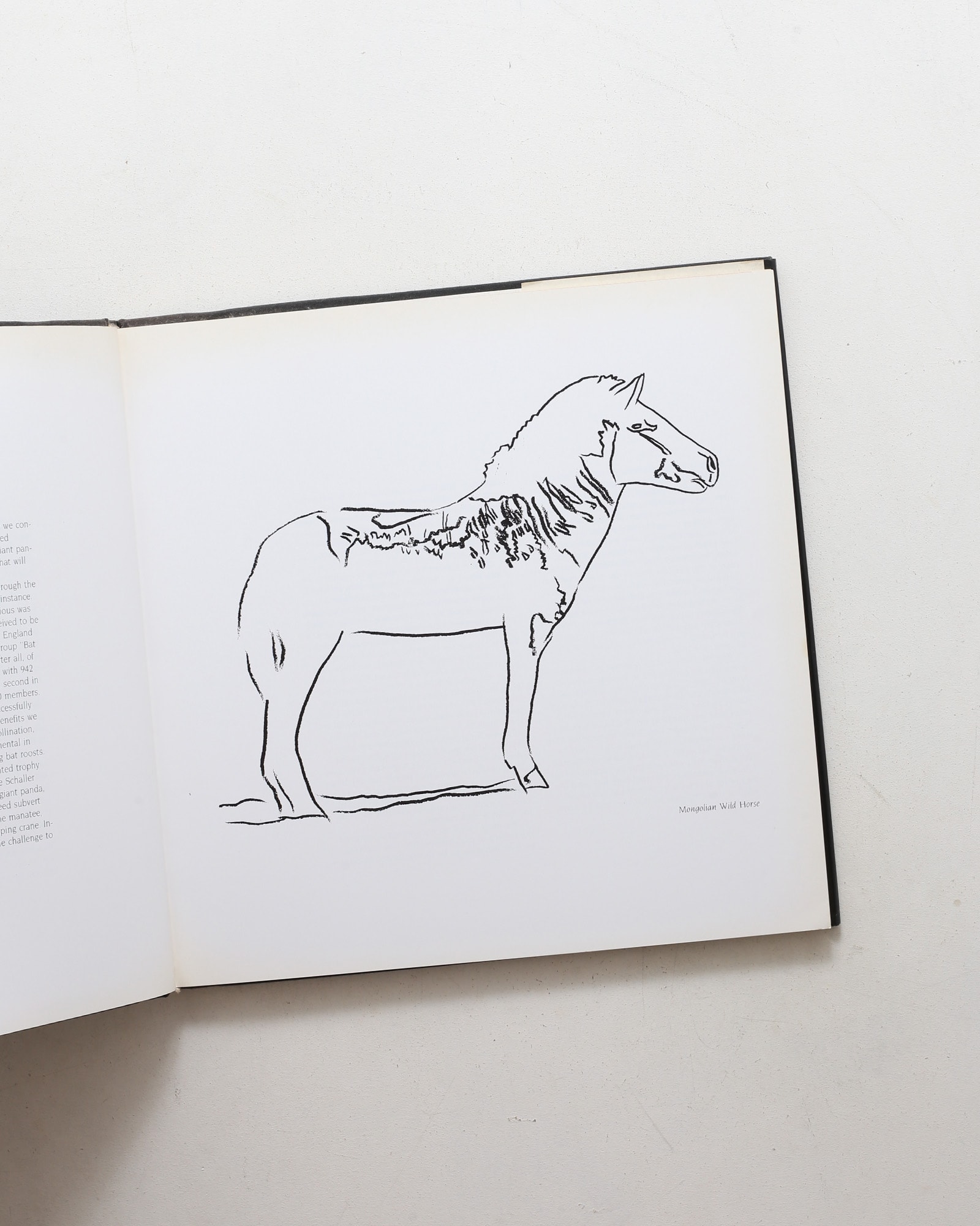 Vanishing Animals | Andy Warhol、Kurt Benirschke