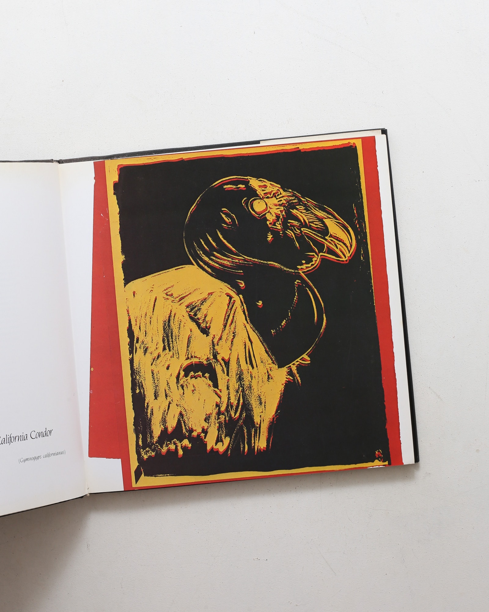 Vanishing Animals | Andy Warhol、Kurt Benirschke
